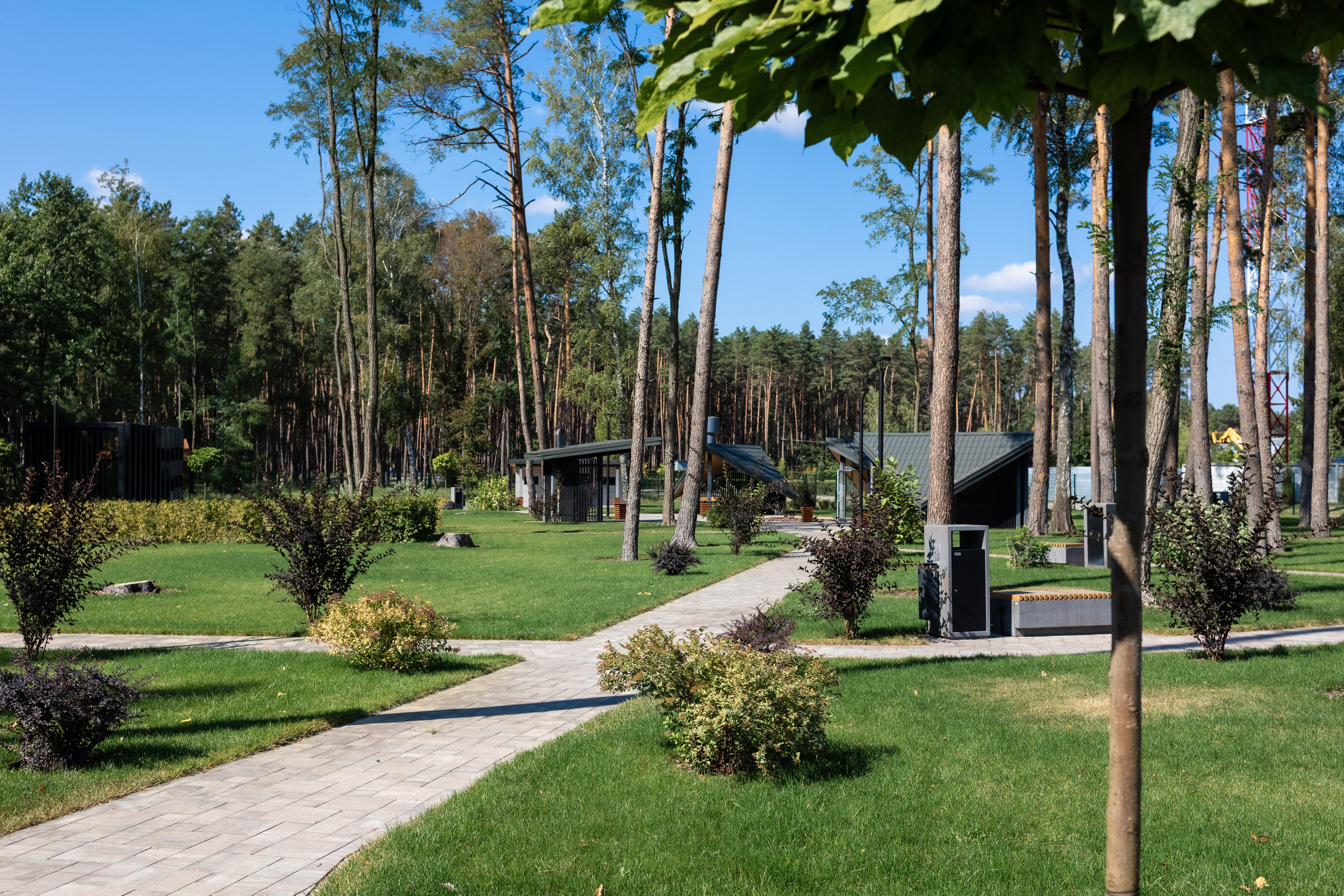 Forester image 9