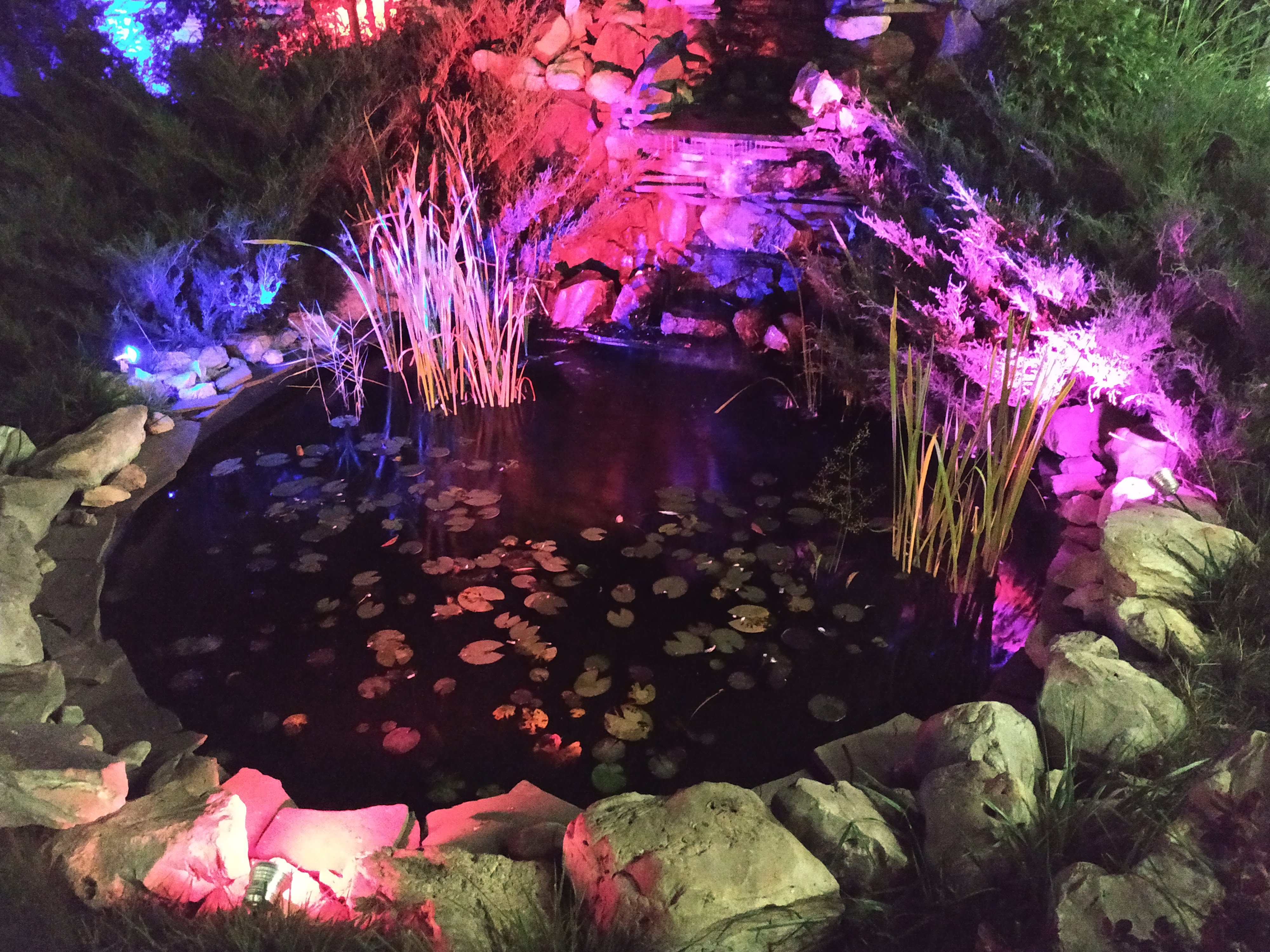 Oleksandriya image 7