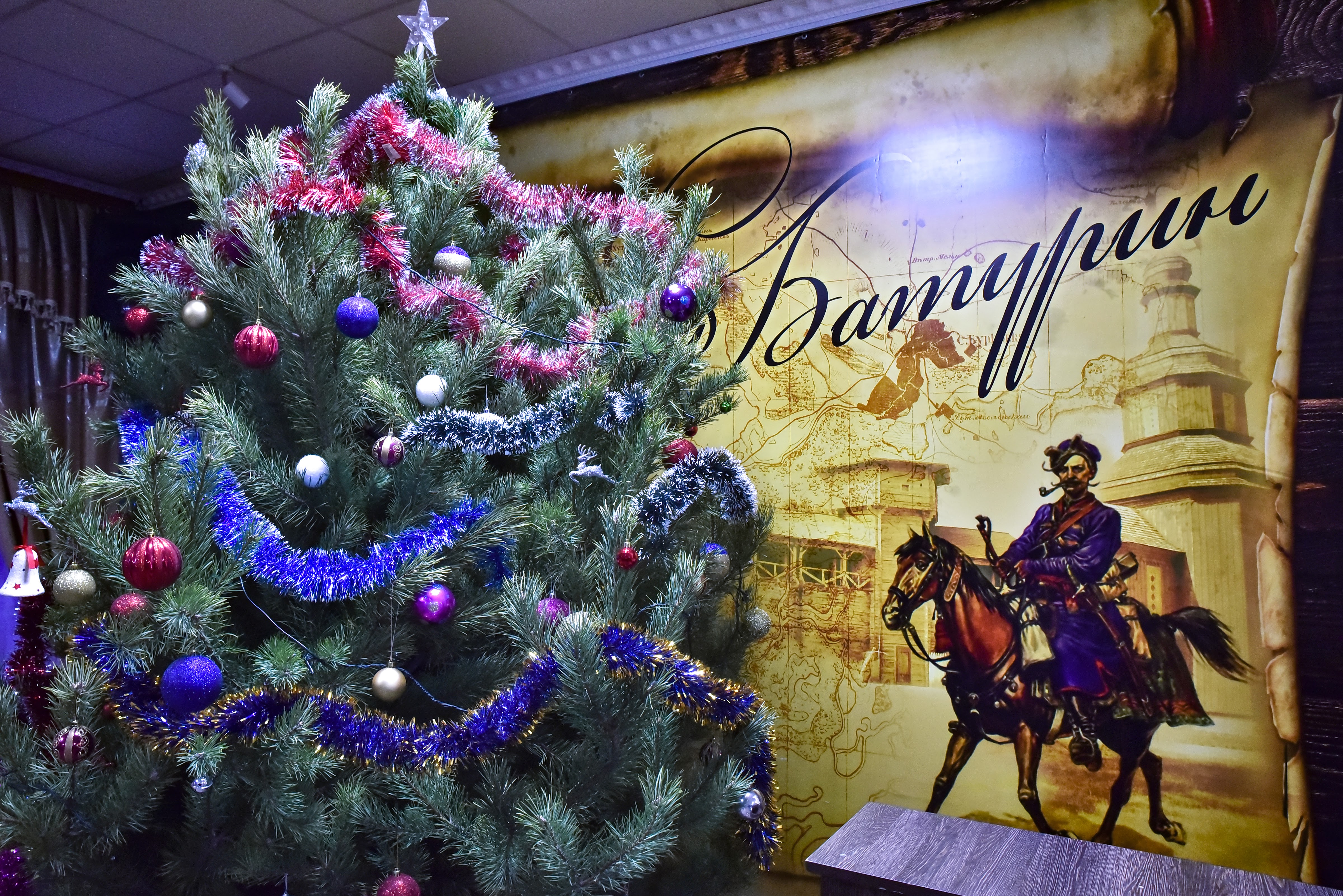 Старий Батурин image 8