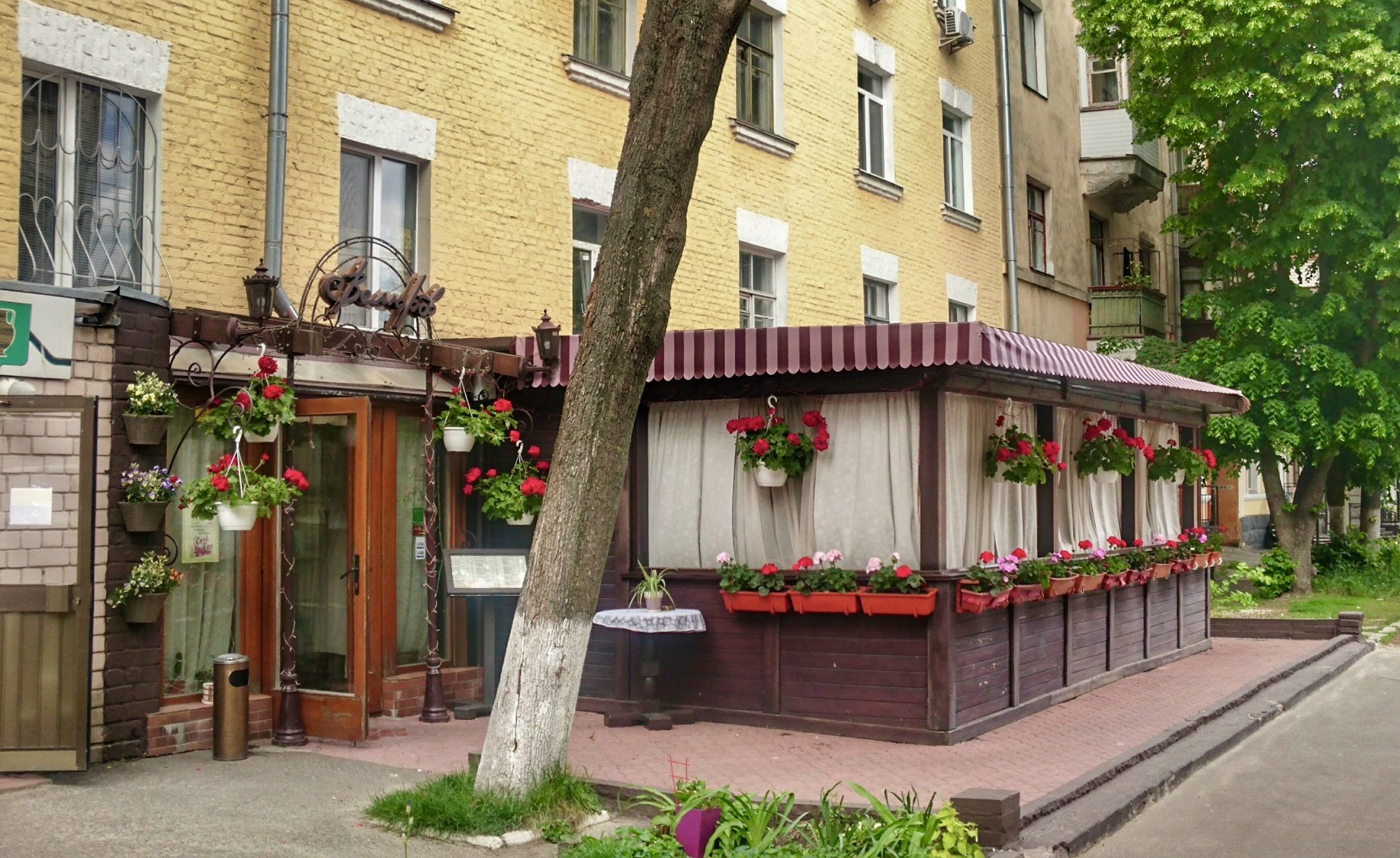 Велюров image 4