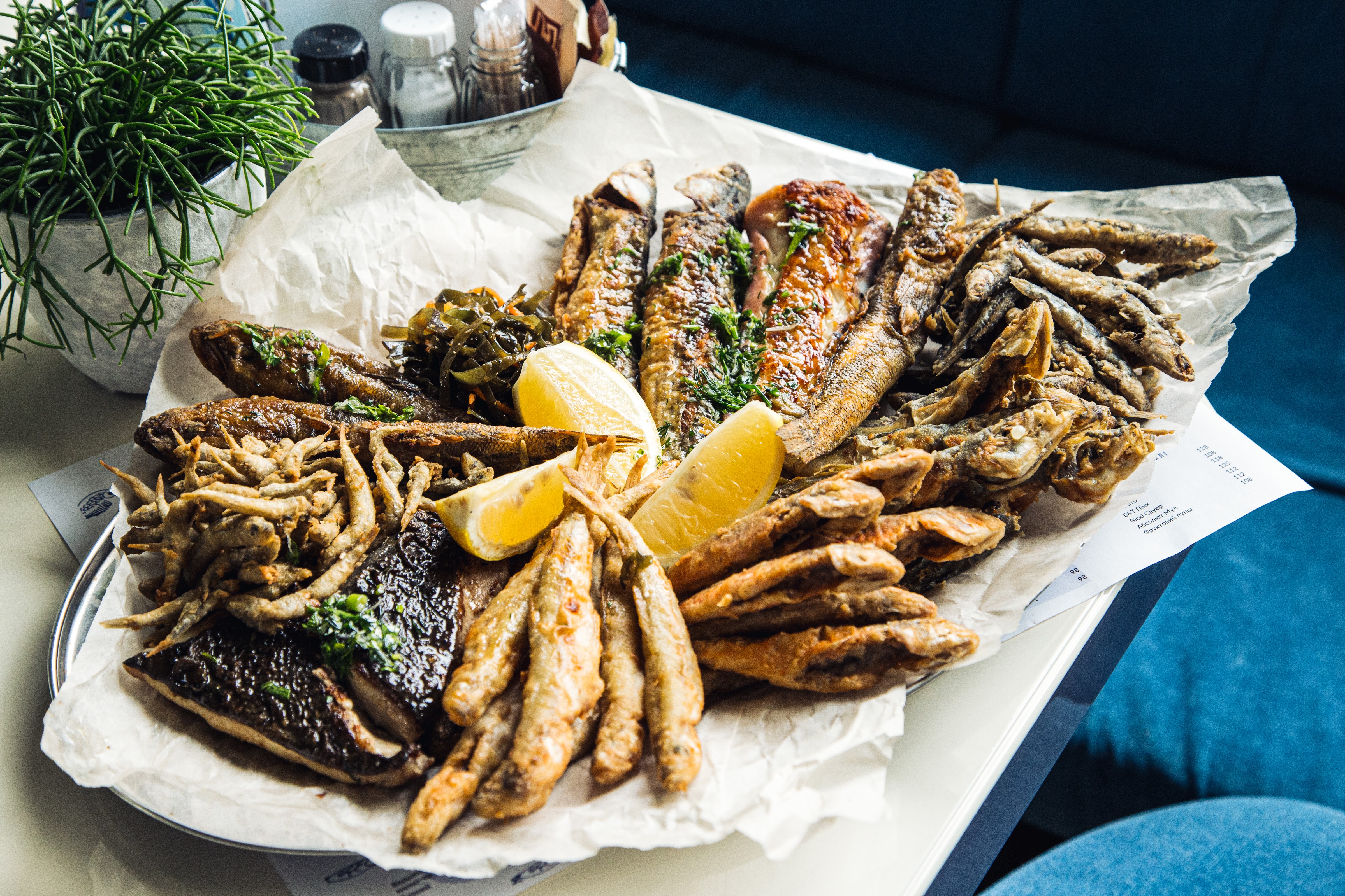 Чорноморка image 2