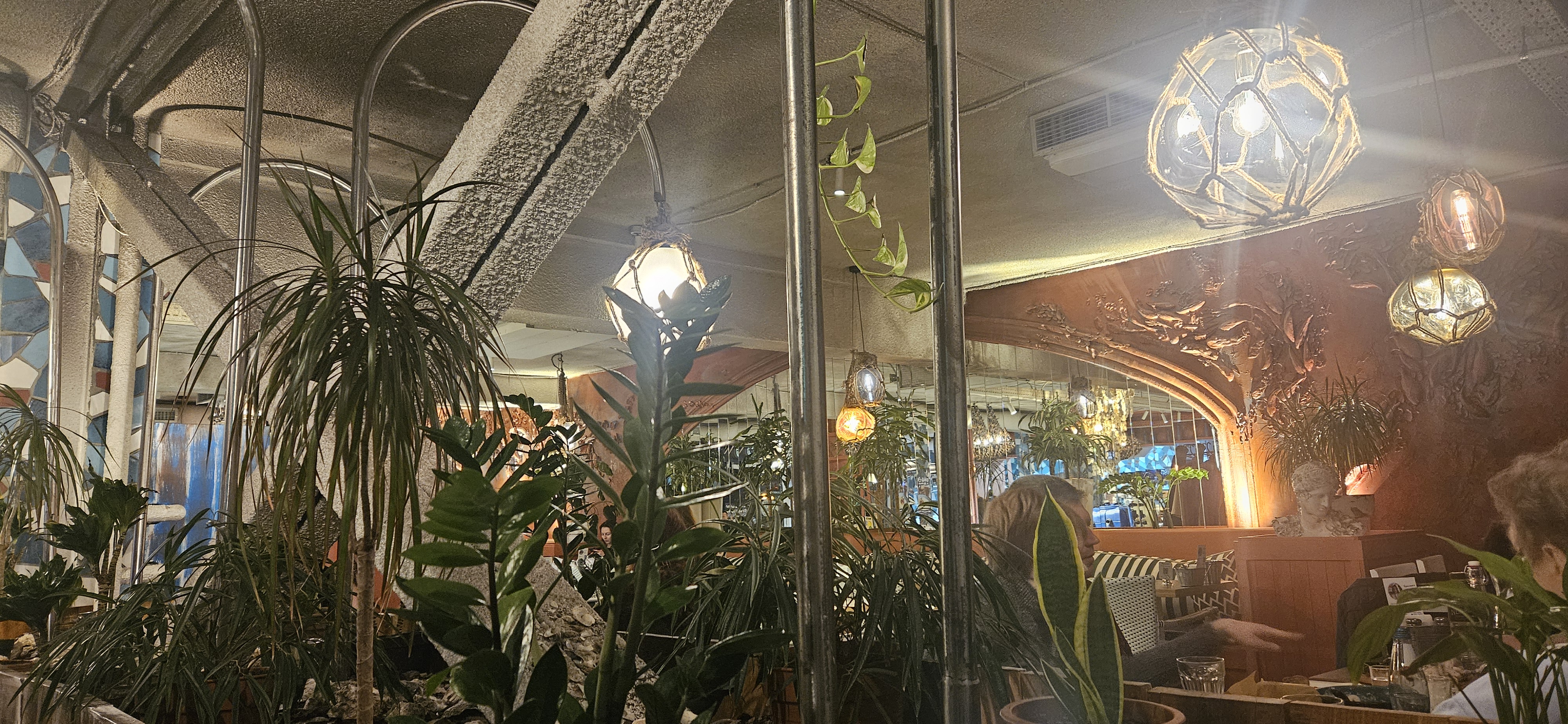 Чорноморка image 6