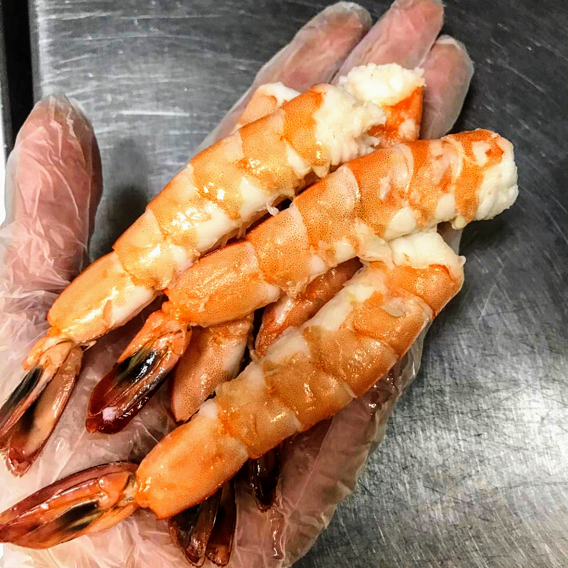 YOKO Sushi studio image 6