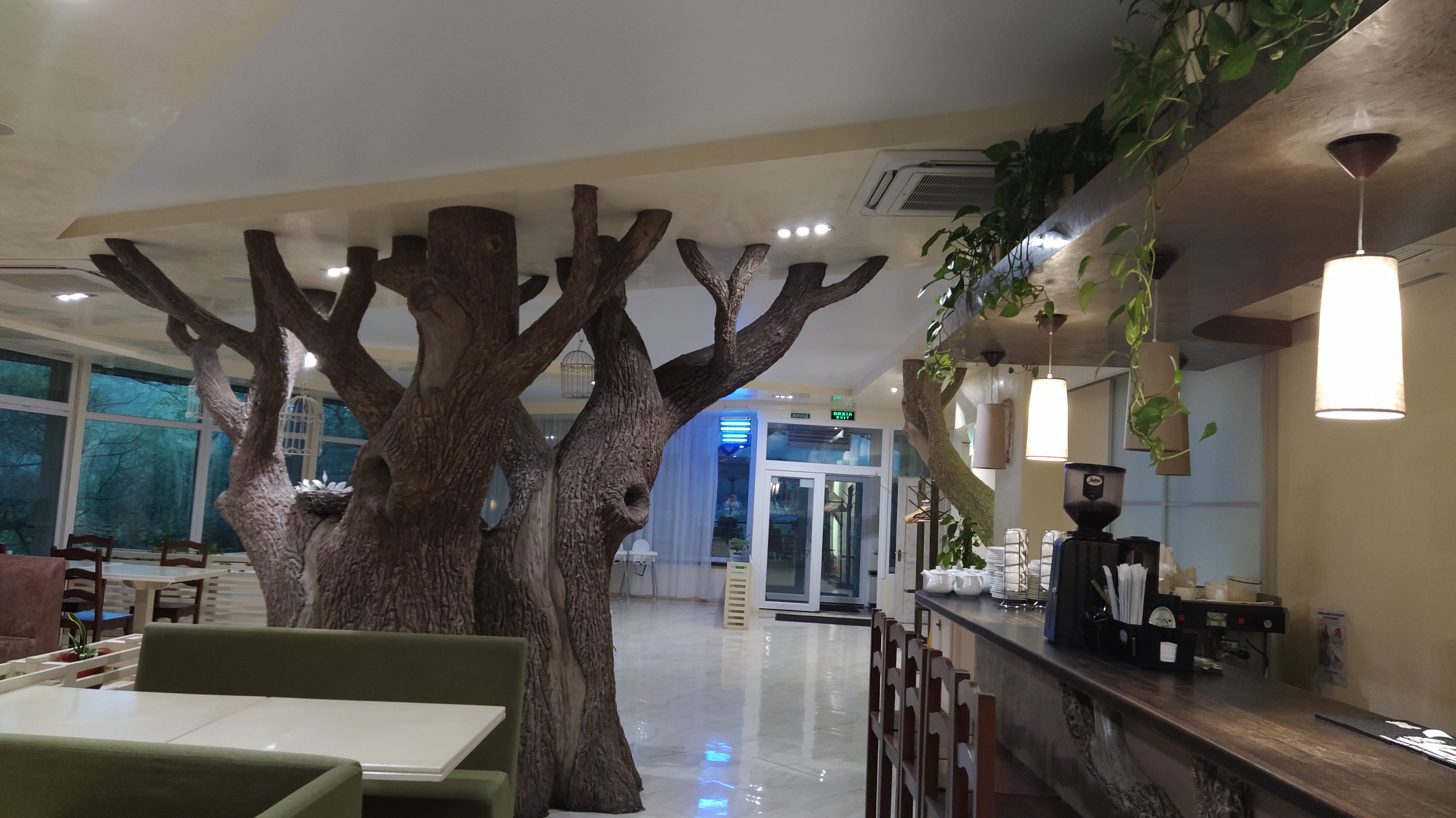 Home Cafe "el САД" image 3