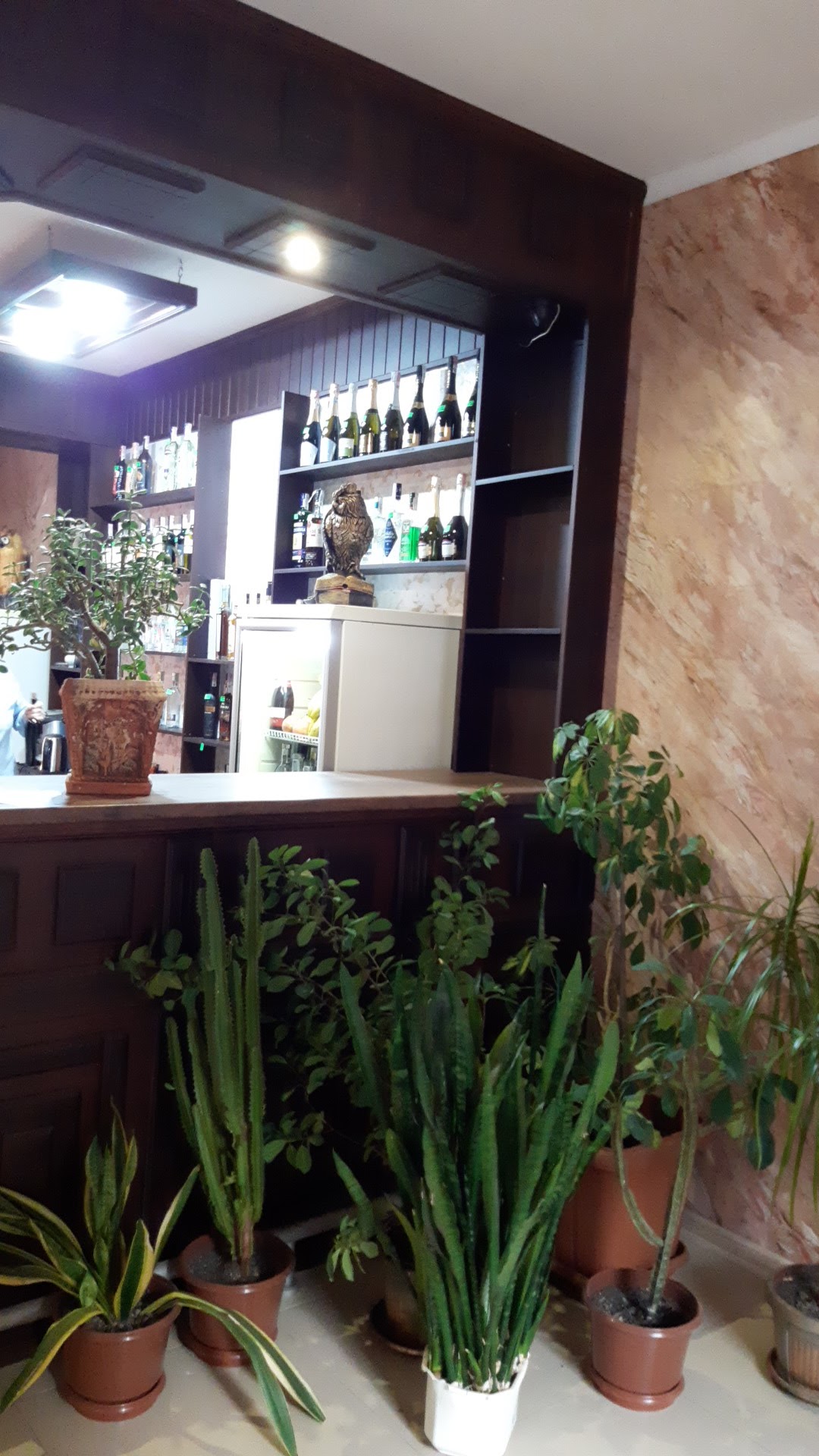 Кафе-бар Филин image 6