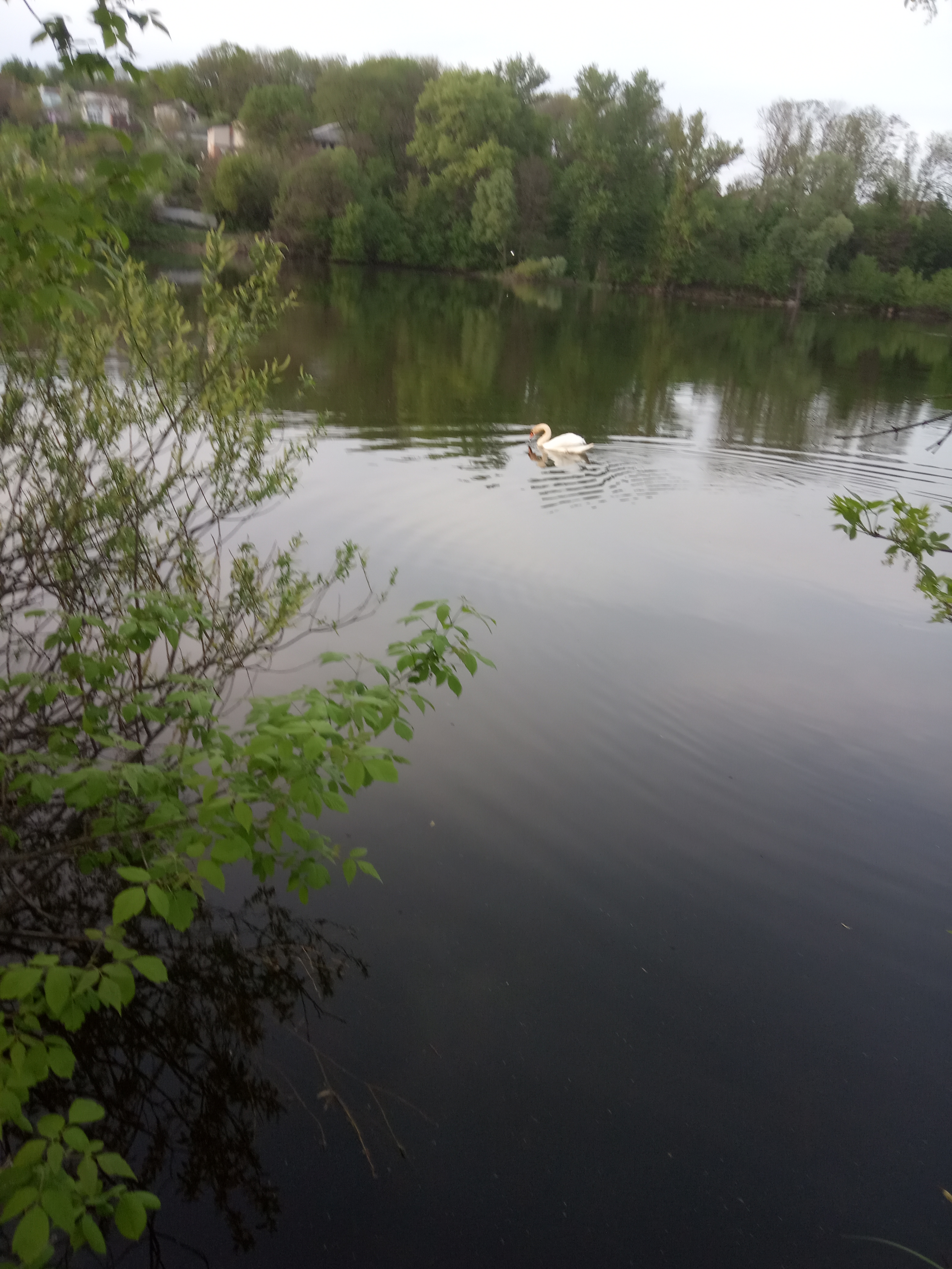 Sadivsʹka Kolyba image 6