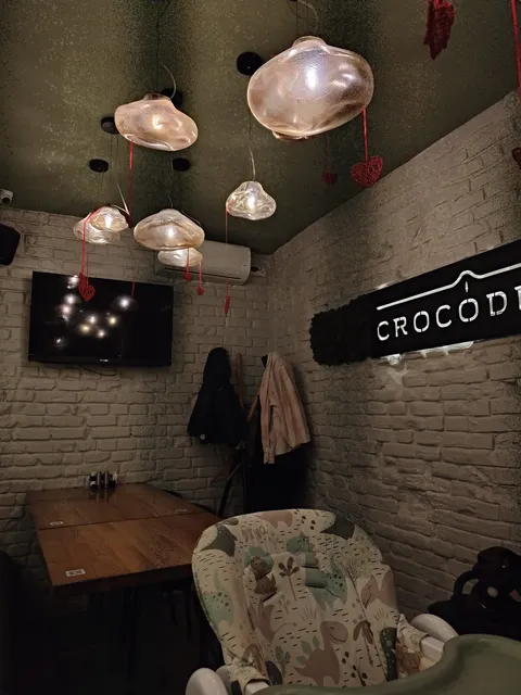 Crocodile image 3
