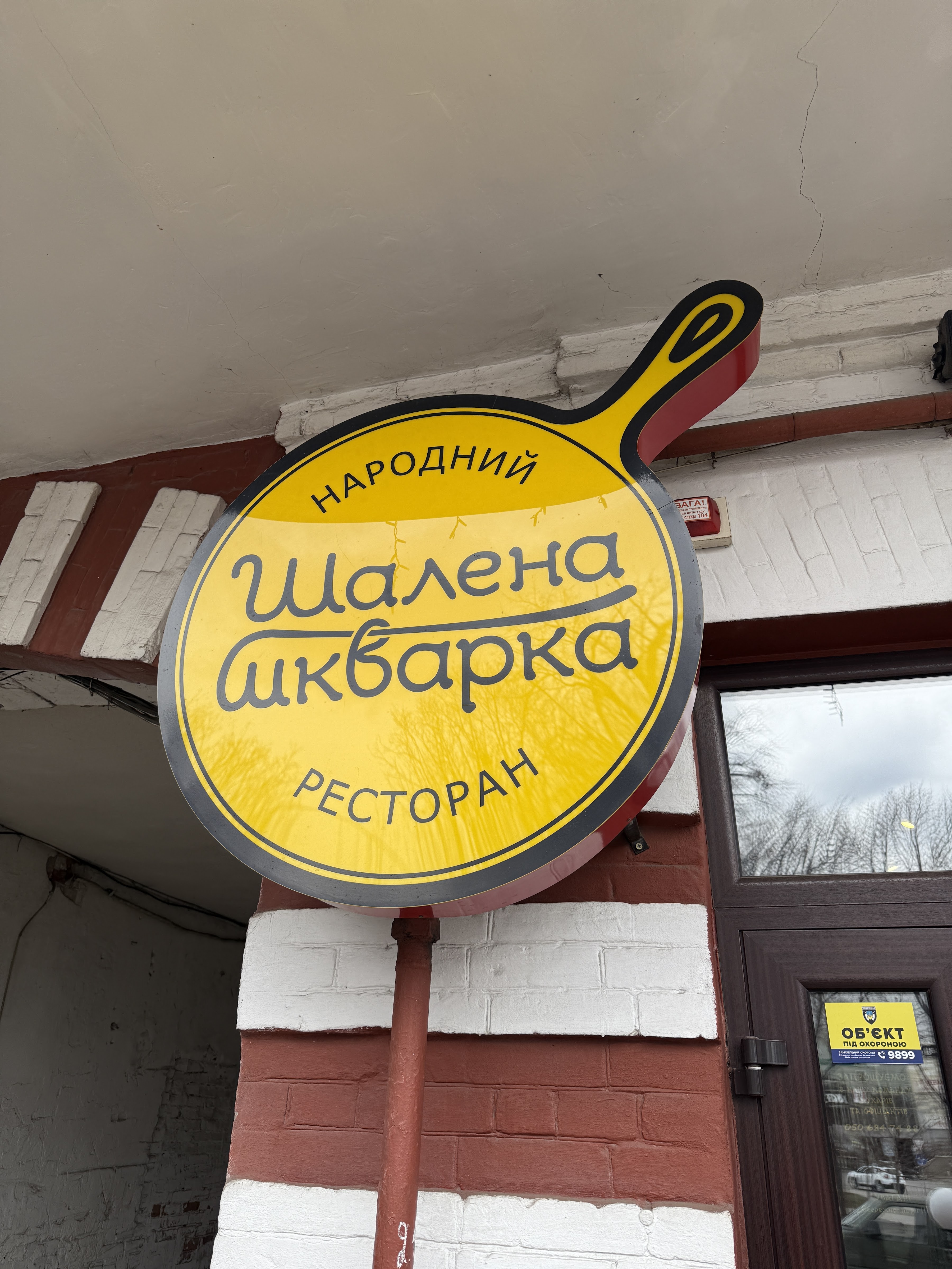 Shalena Shkvarka image 6