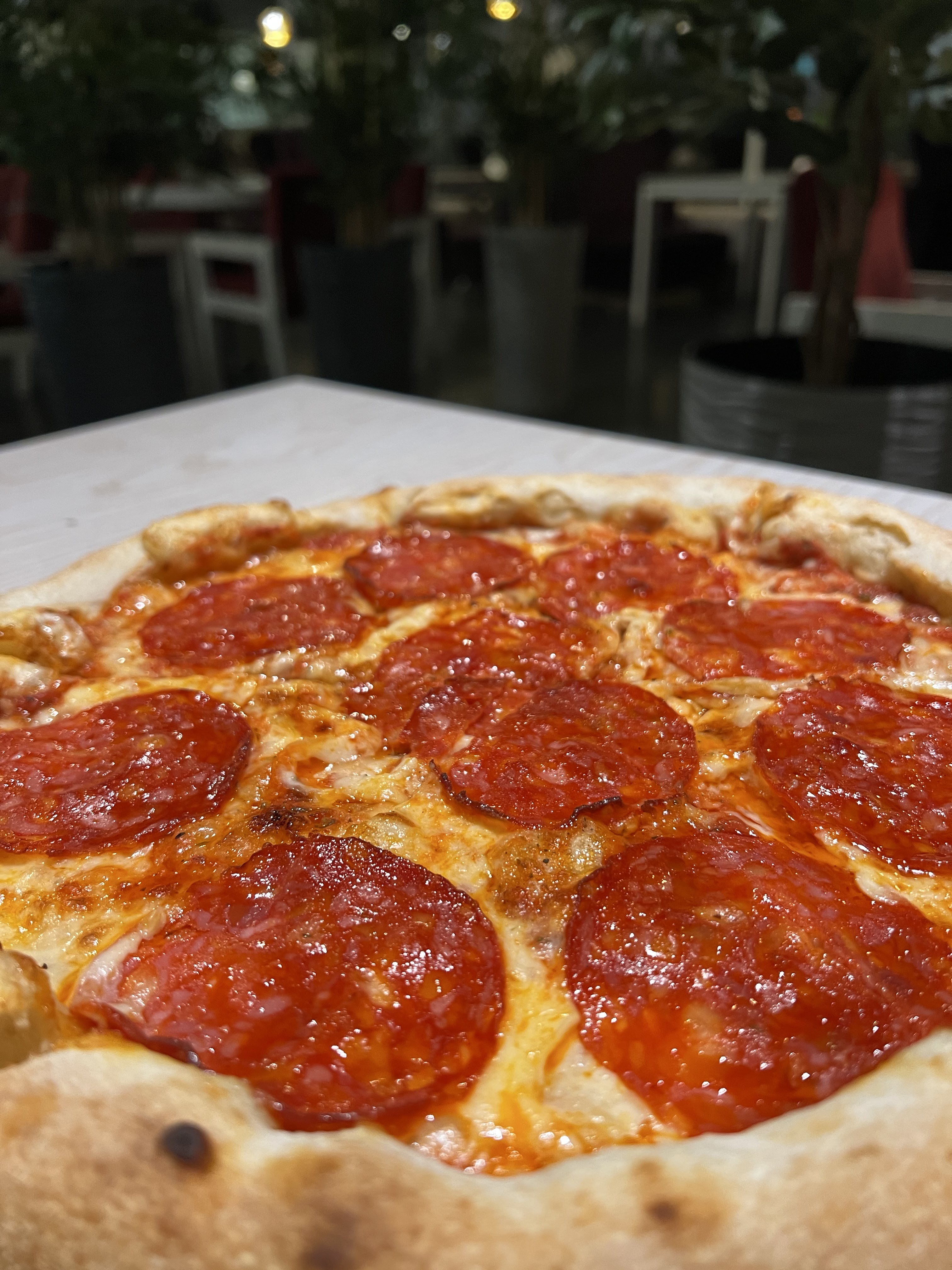 САД СУМИ image 4