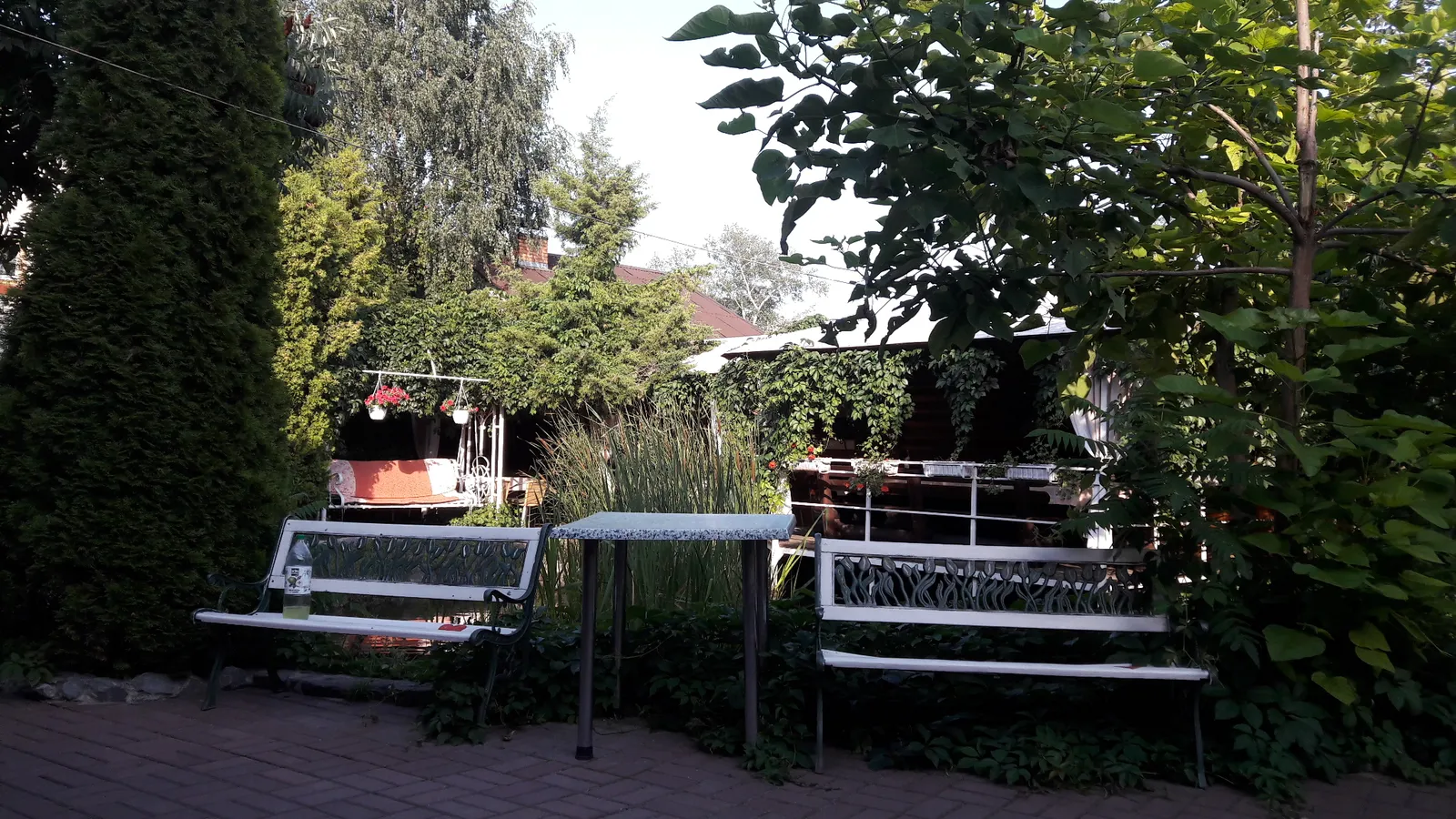 Taverna image 1