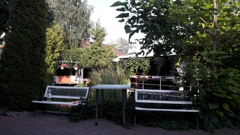 Taverna image 1