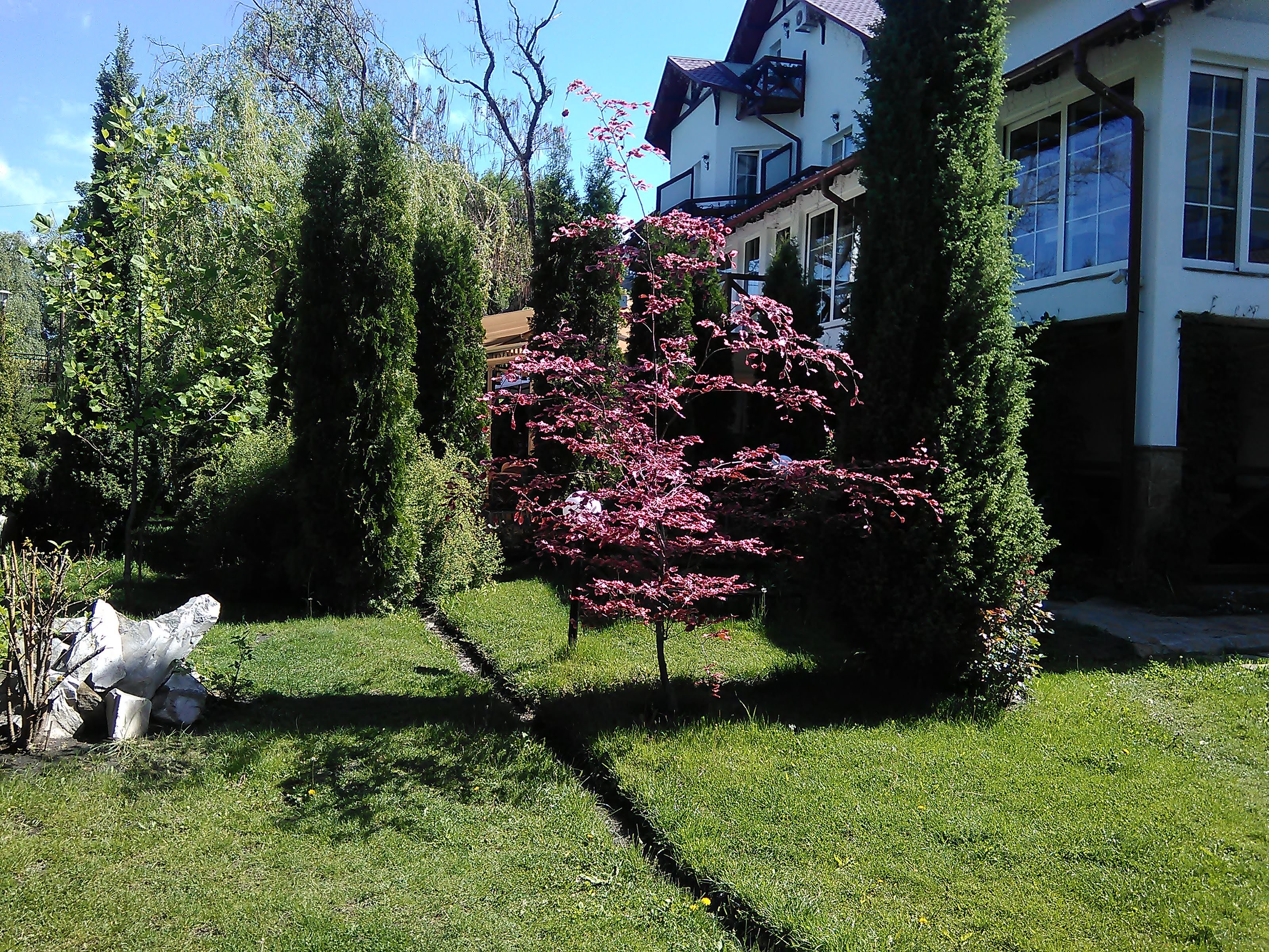 Pub Na Pselʹsʹkiy image 7