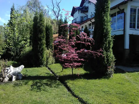 Pub Na Pselʹsʹkiy image 7