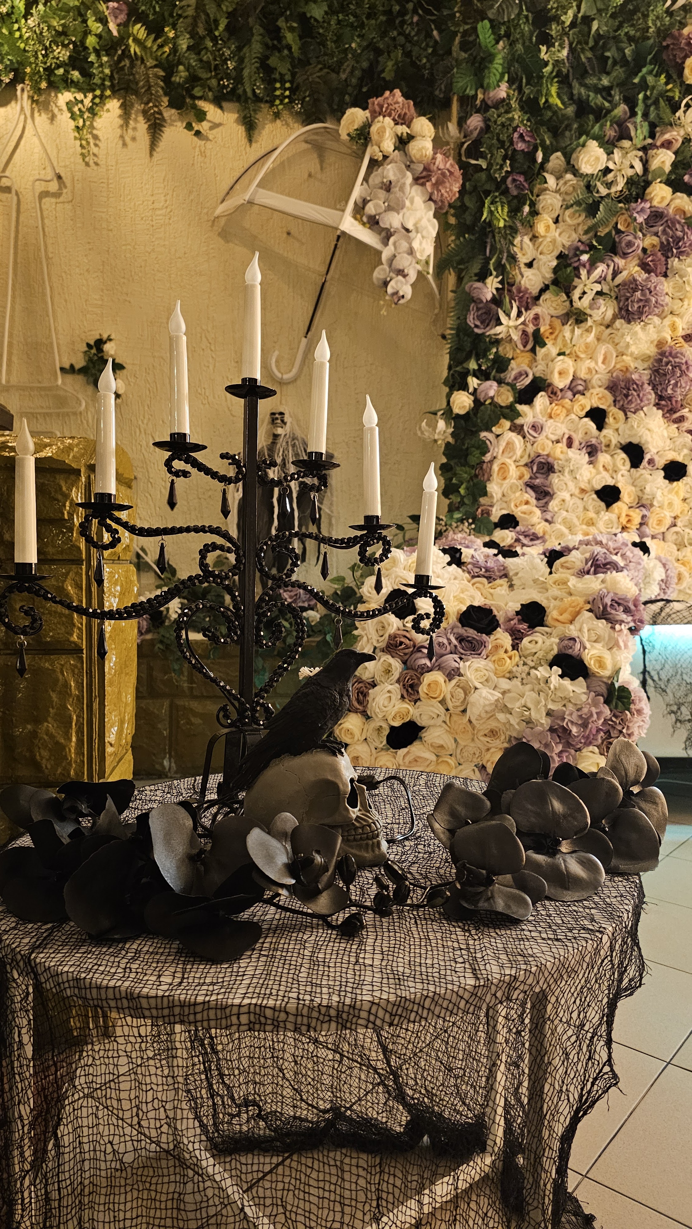 daniel_original image 5