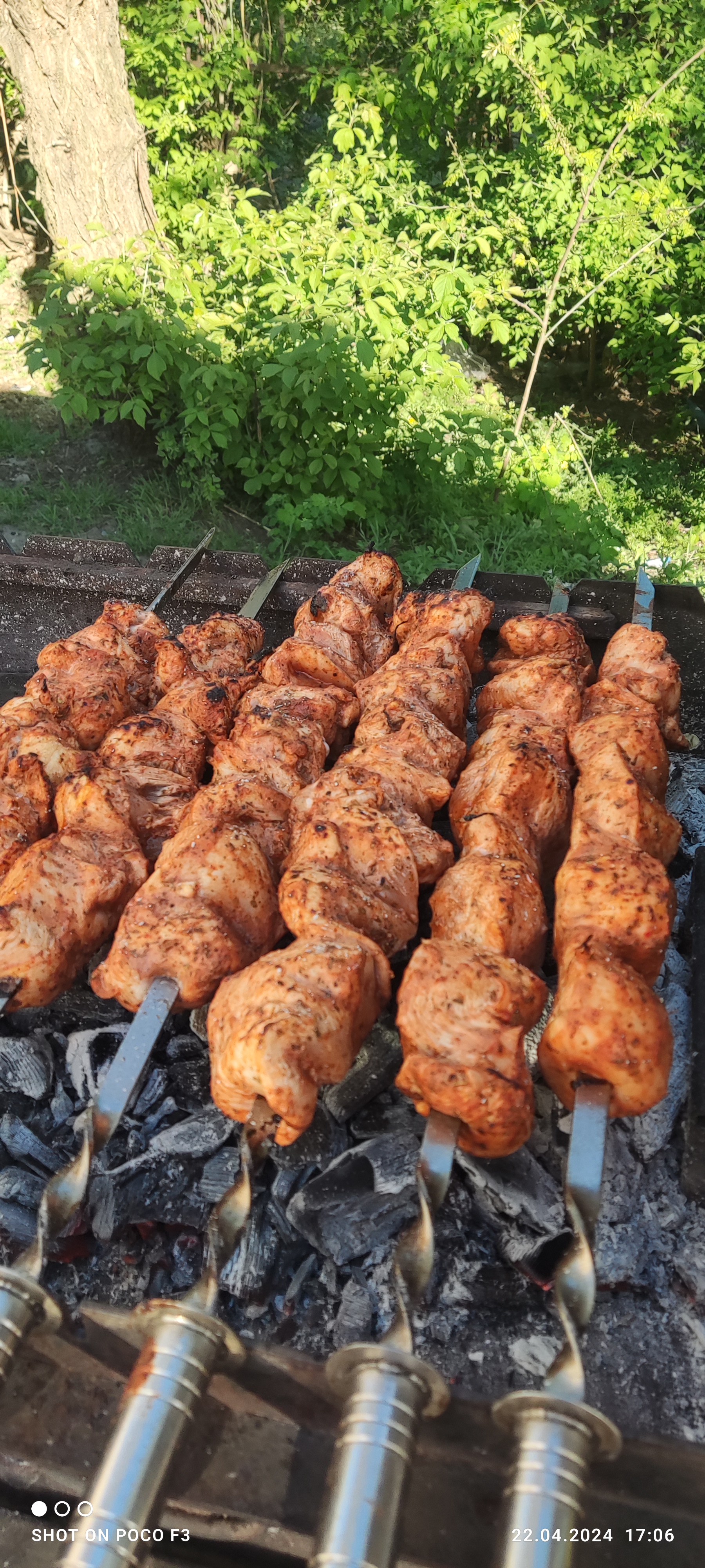 Кафе Їжачок image 1