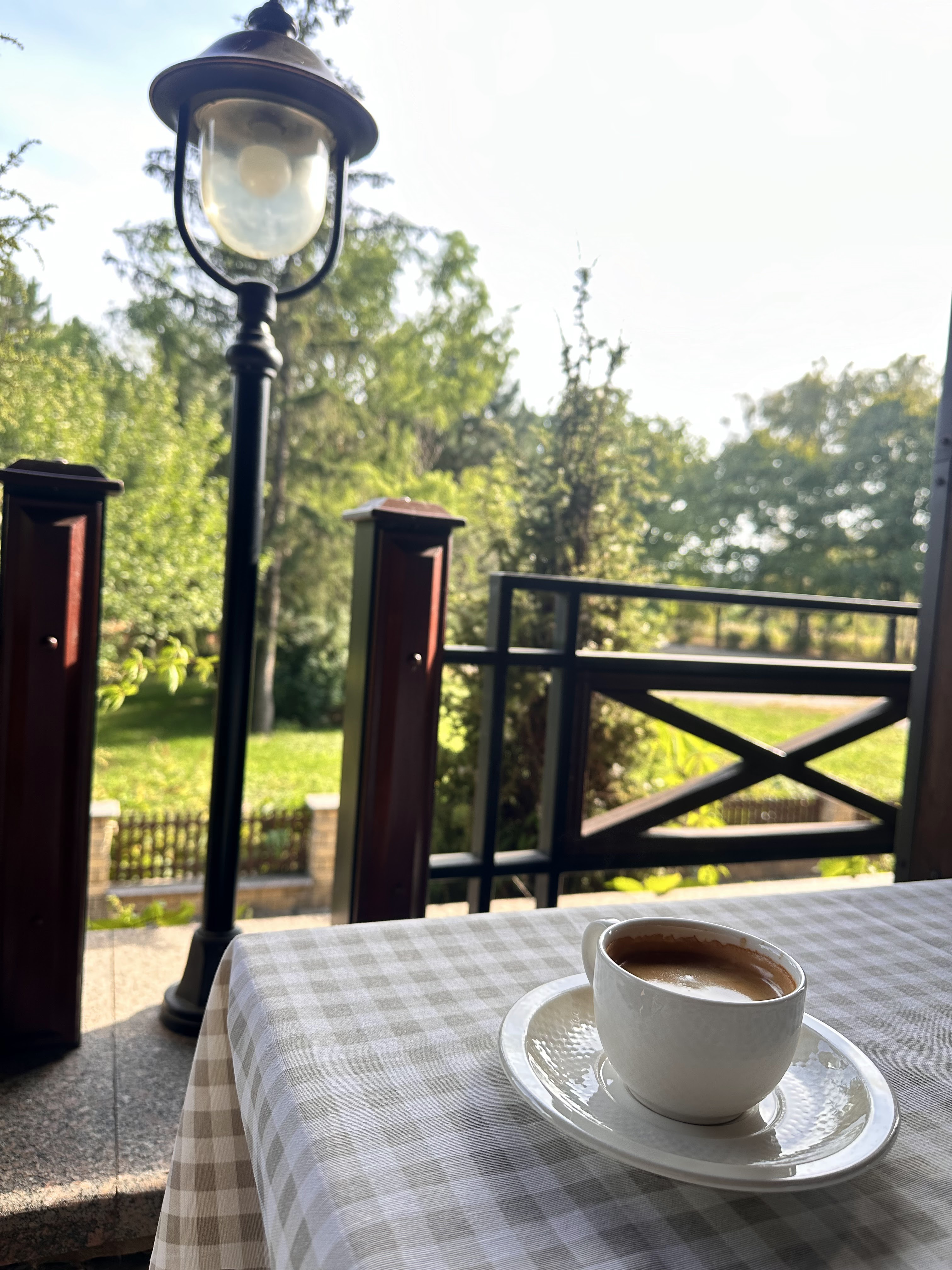 Riva Park Shale image 10