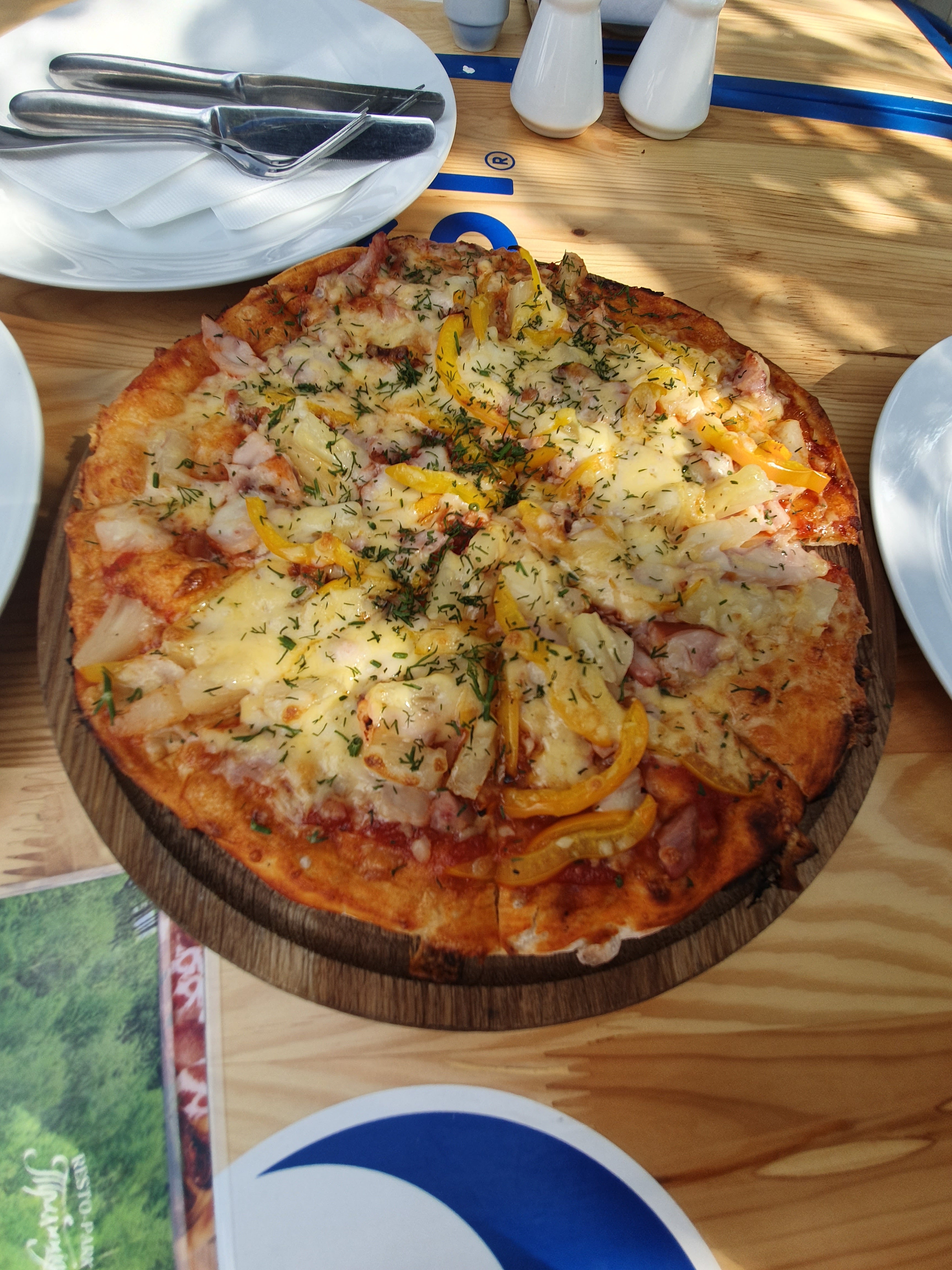 Аквазона “Традиция” image 1