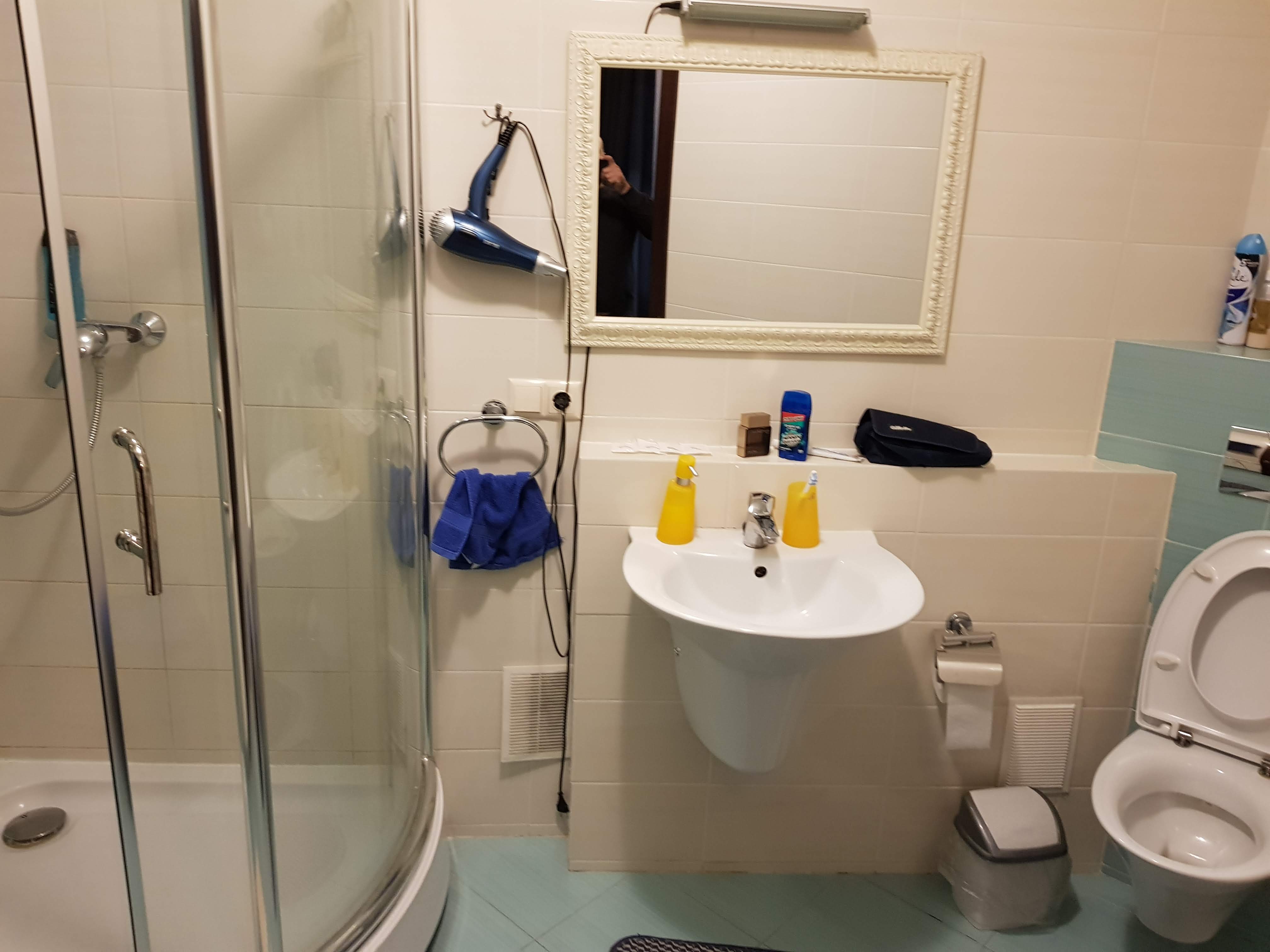 Business Hotel image 8