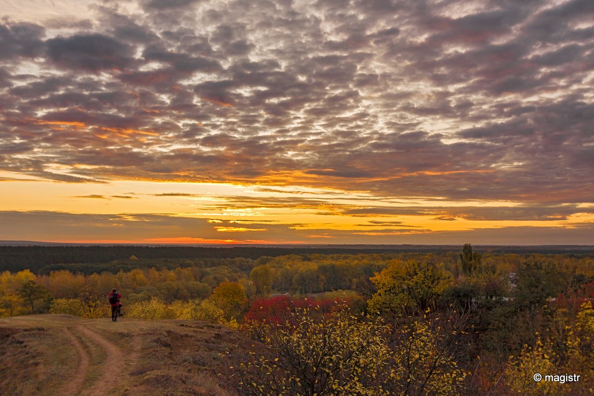 Osynove Pleso image 1