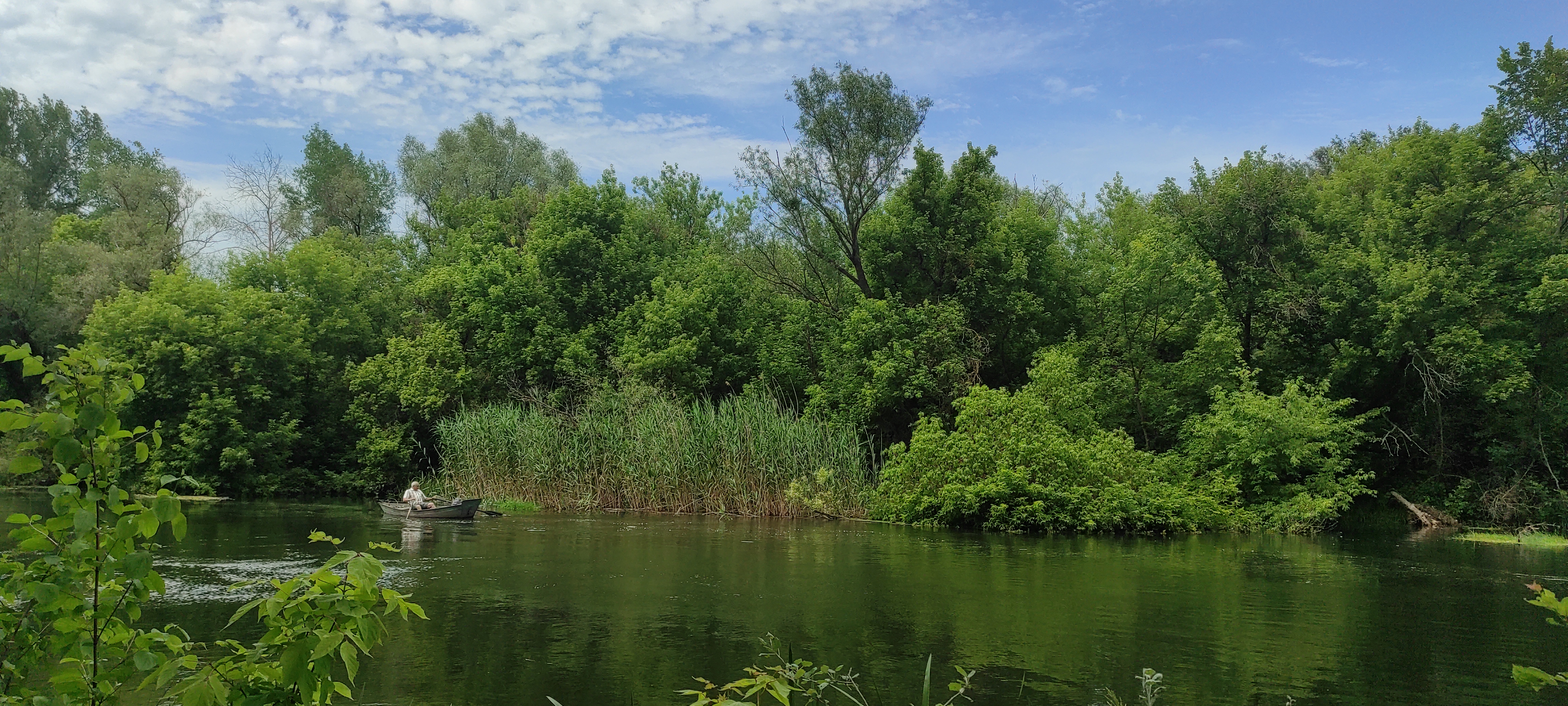 Osynove Pleso image 3