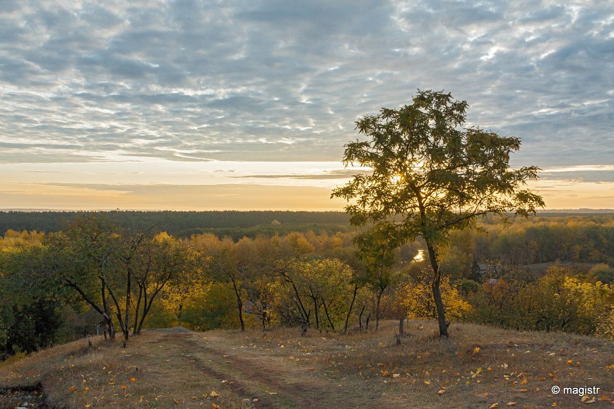 Osynove Pleso image 4