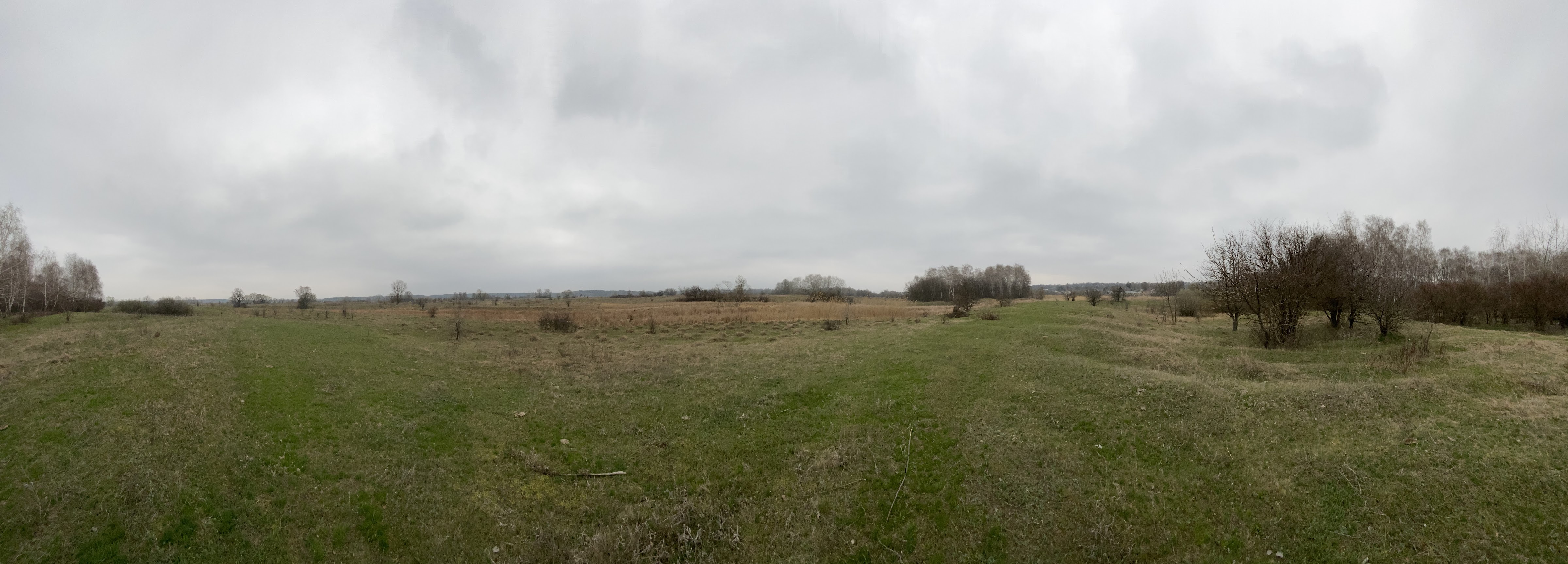 Osynove Pleso image 7