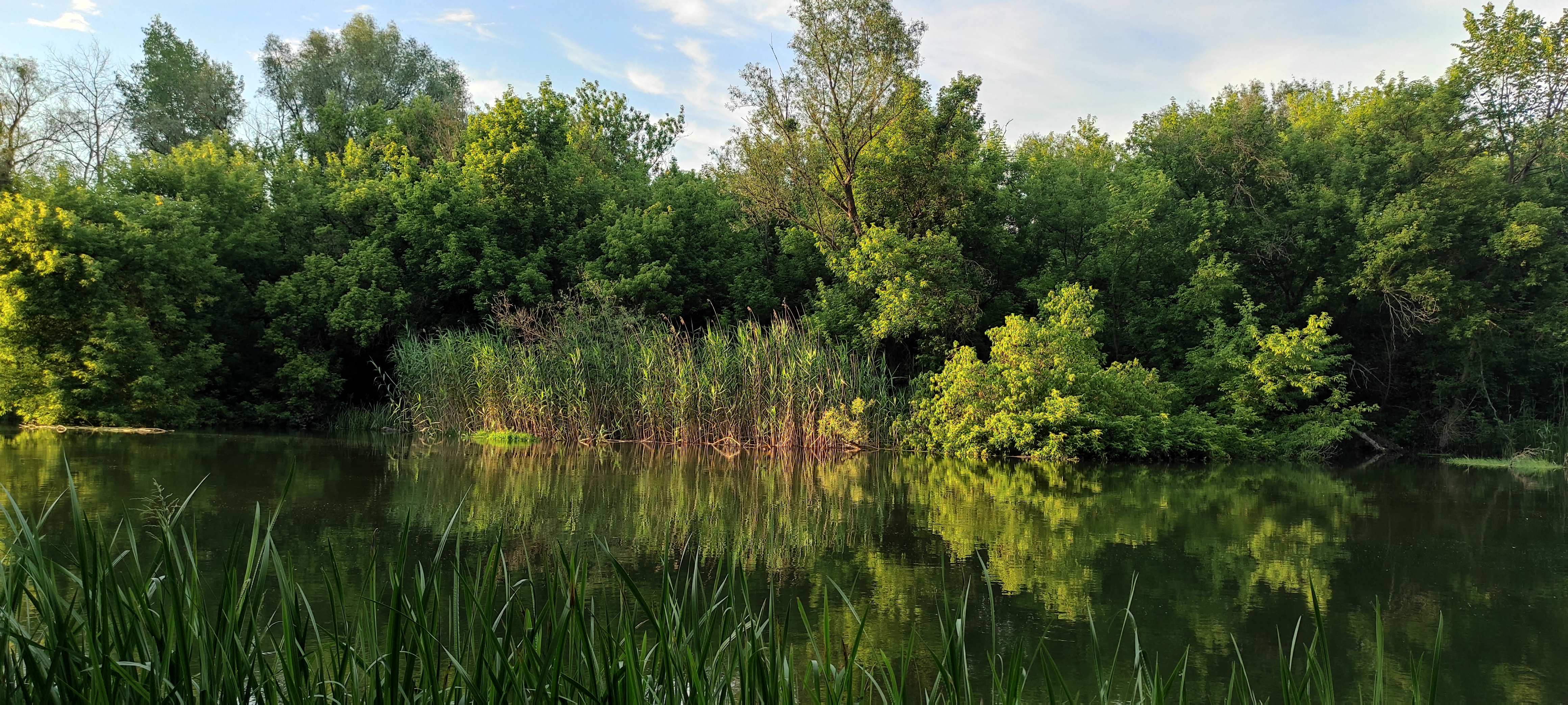 Osynove Pleso image 9