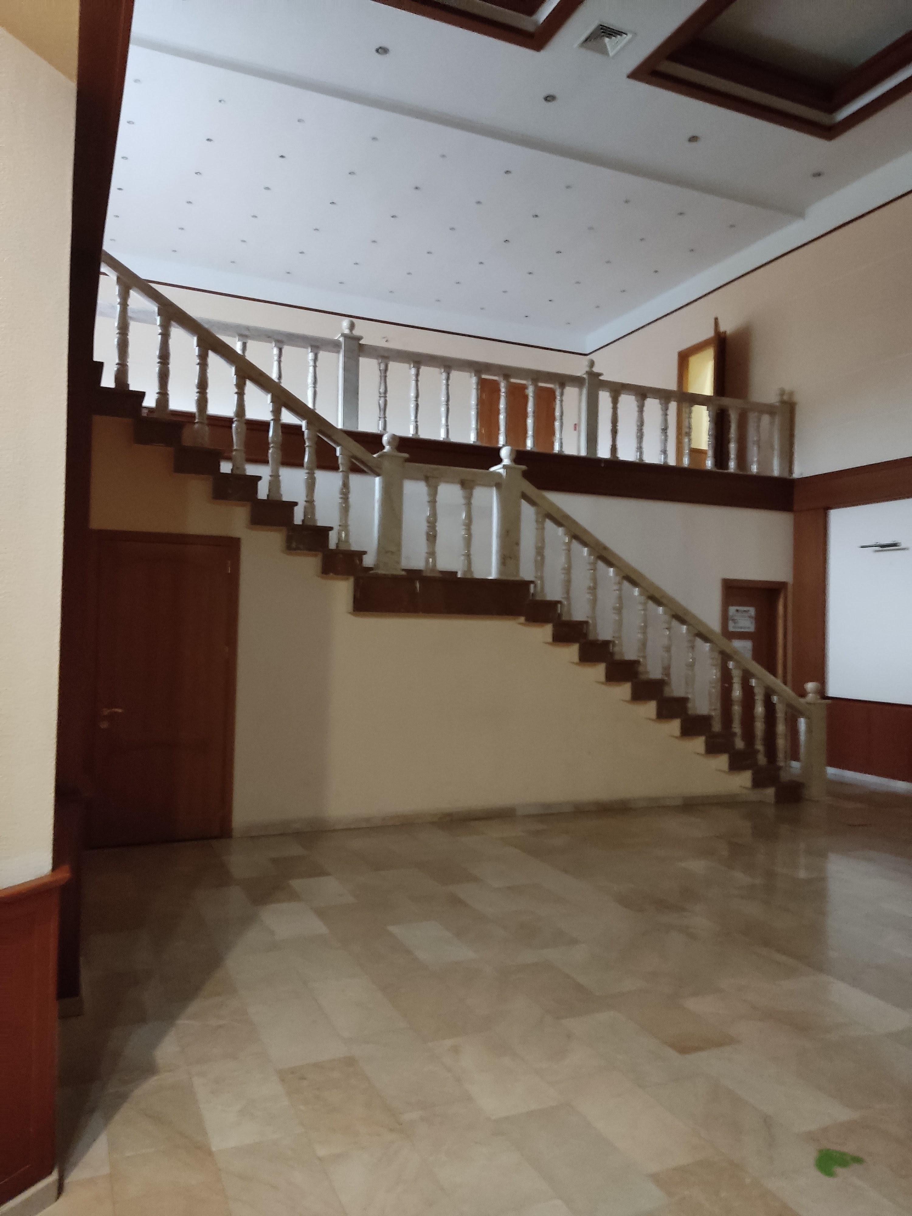 Soaring Dragon image 4