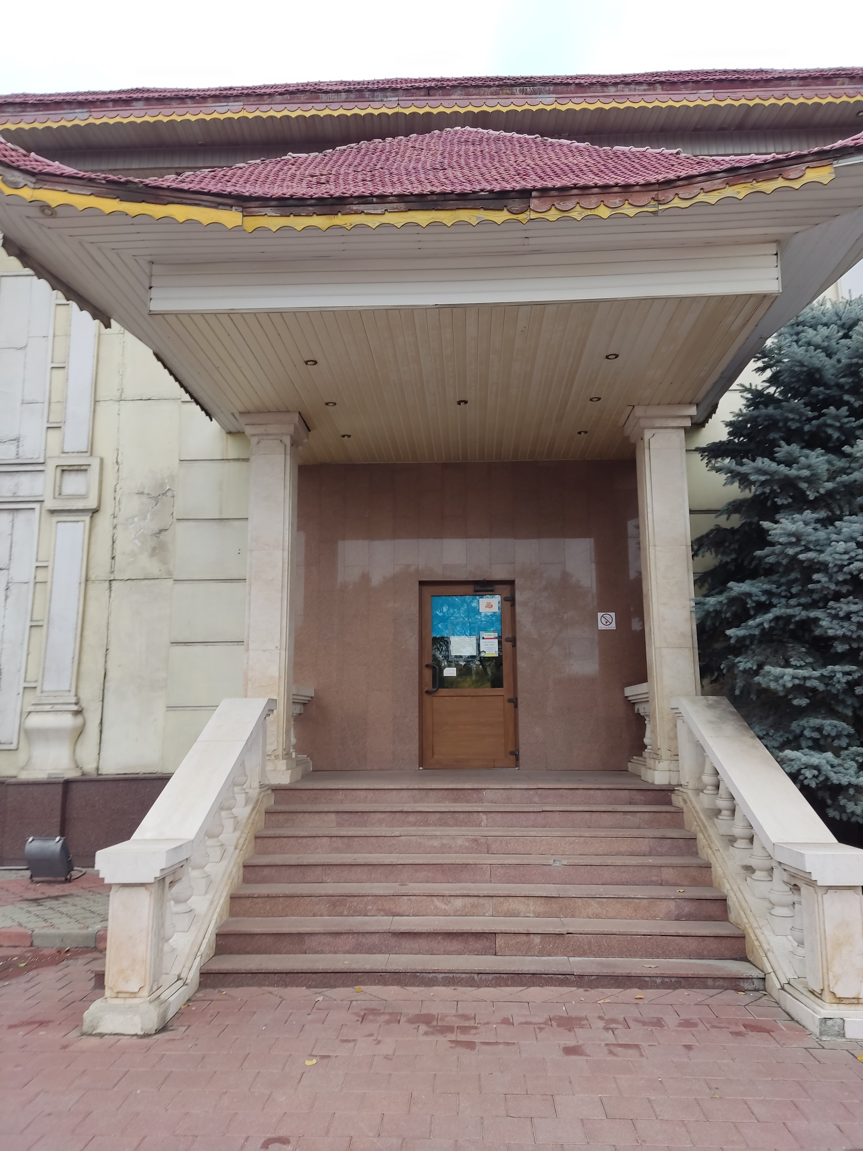 Soaring Dragon image 6