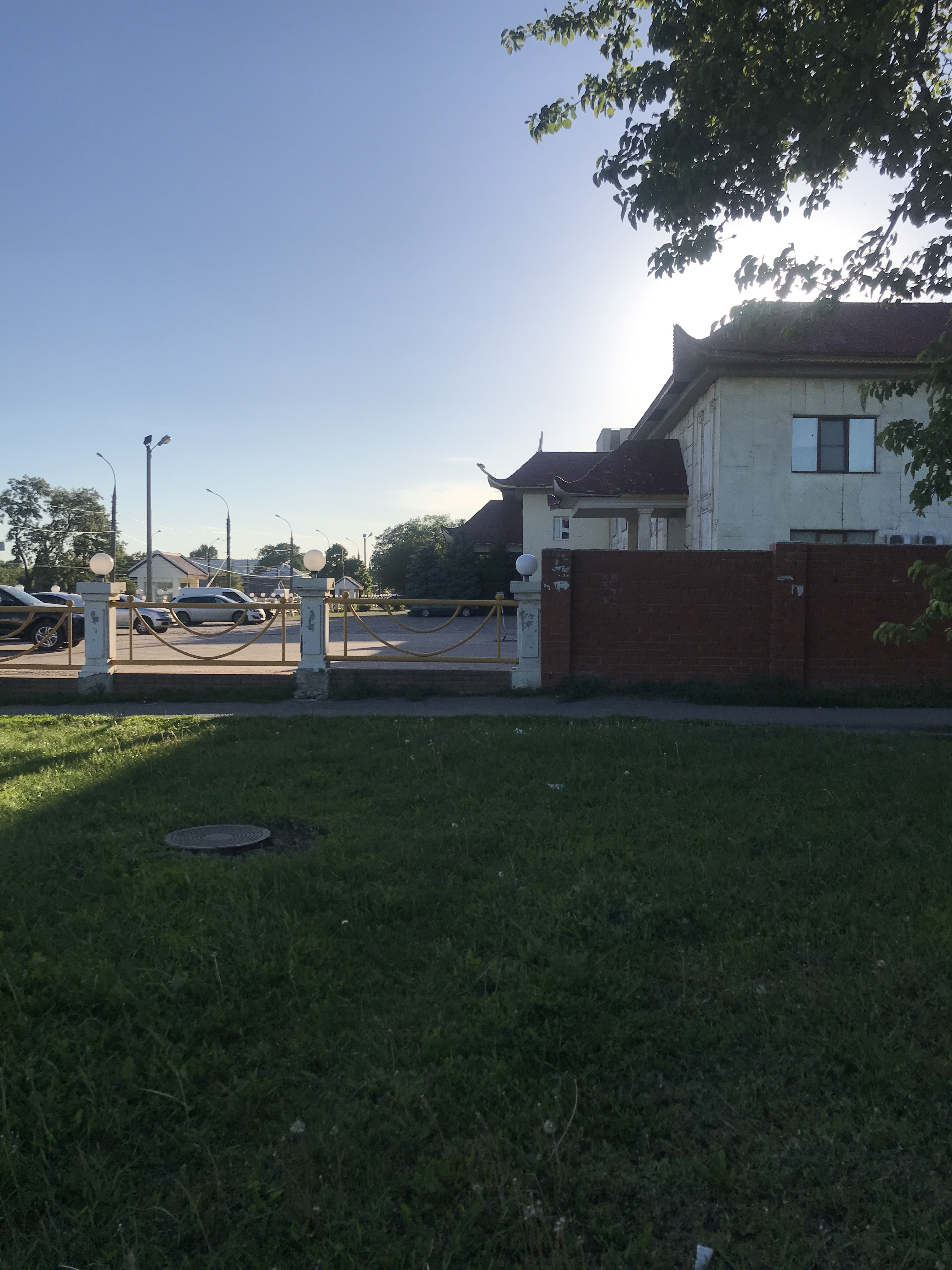 Soaring Dragon image 7