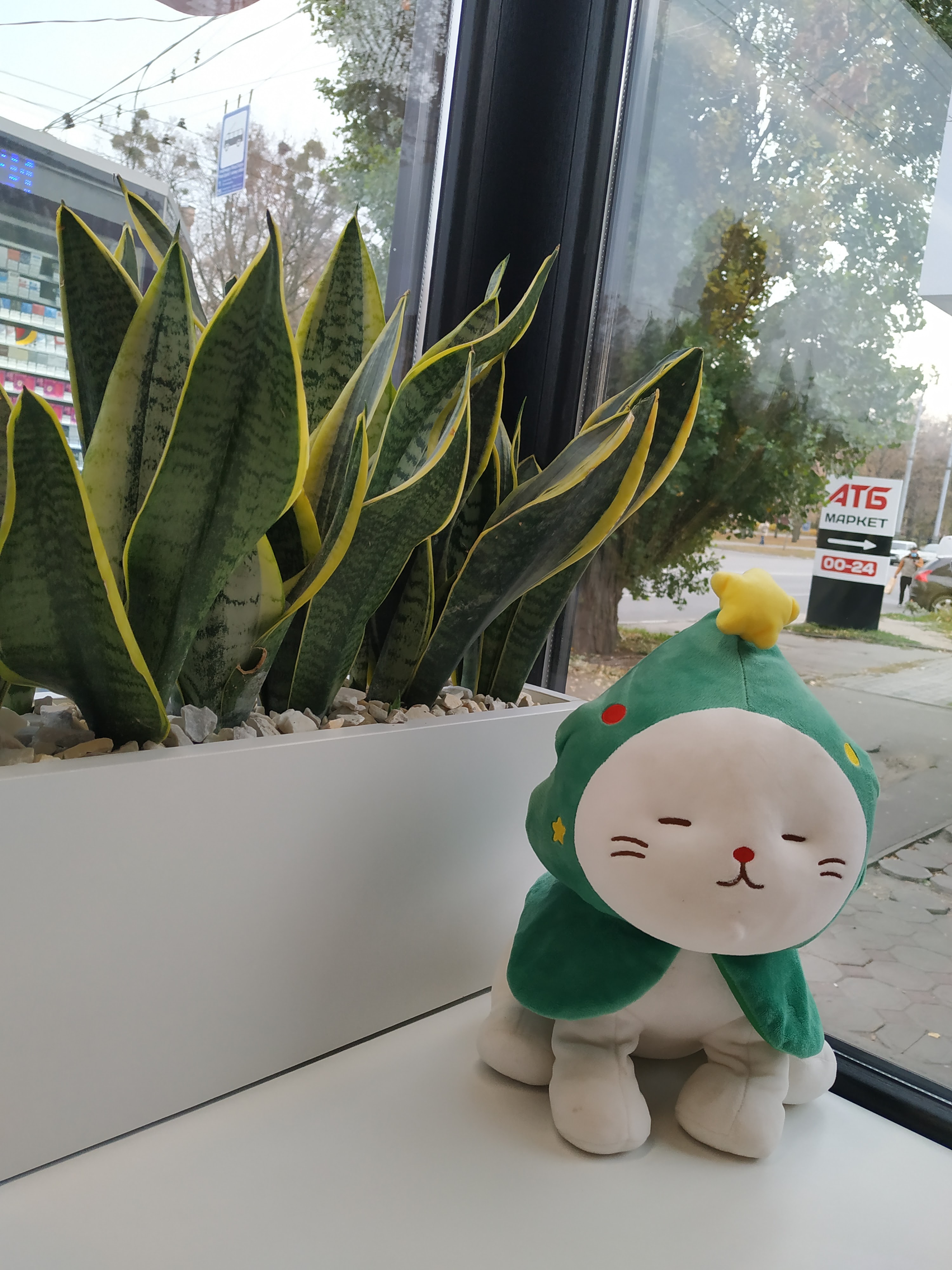 Доставка суші Roll Club в Харкові на Петра Григоренка image 10