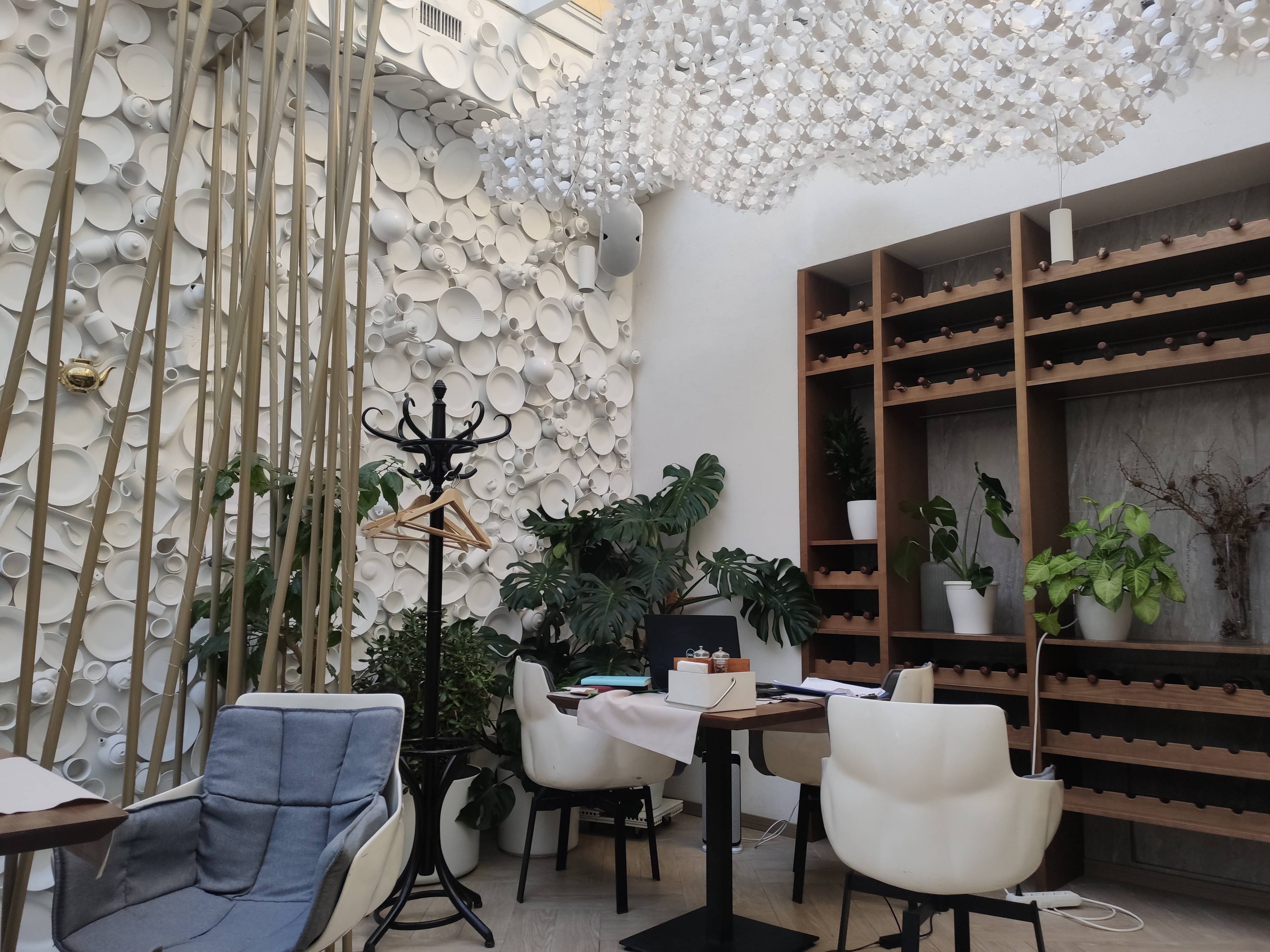 White Garden image 4