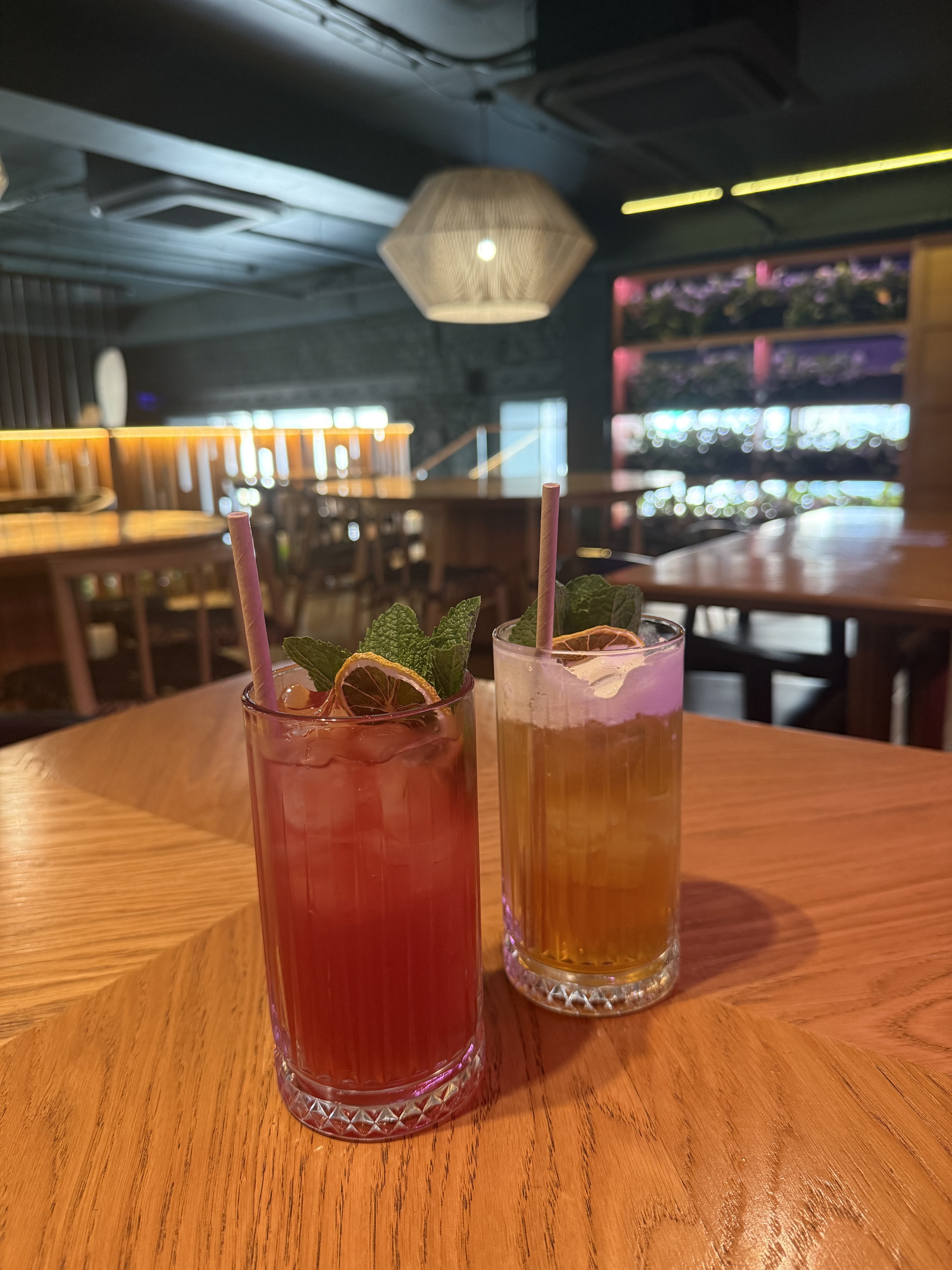 Gastrobistro Tangerine image 7