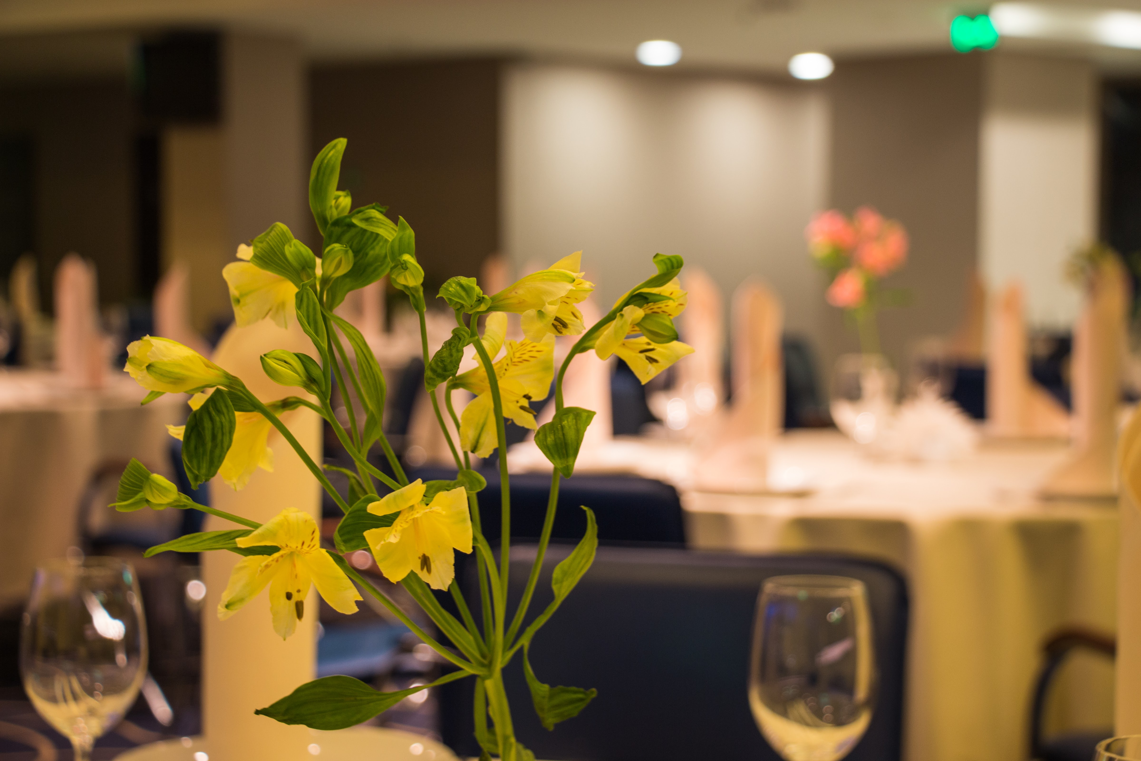 Restaurant "Metalist" image 5