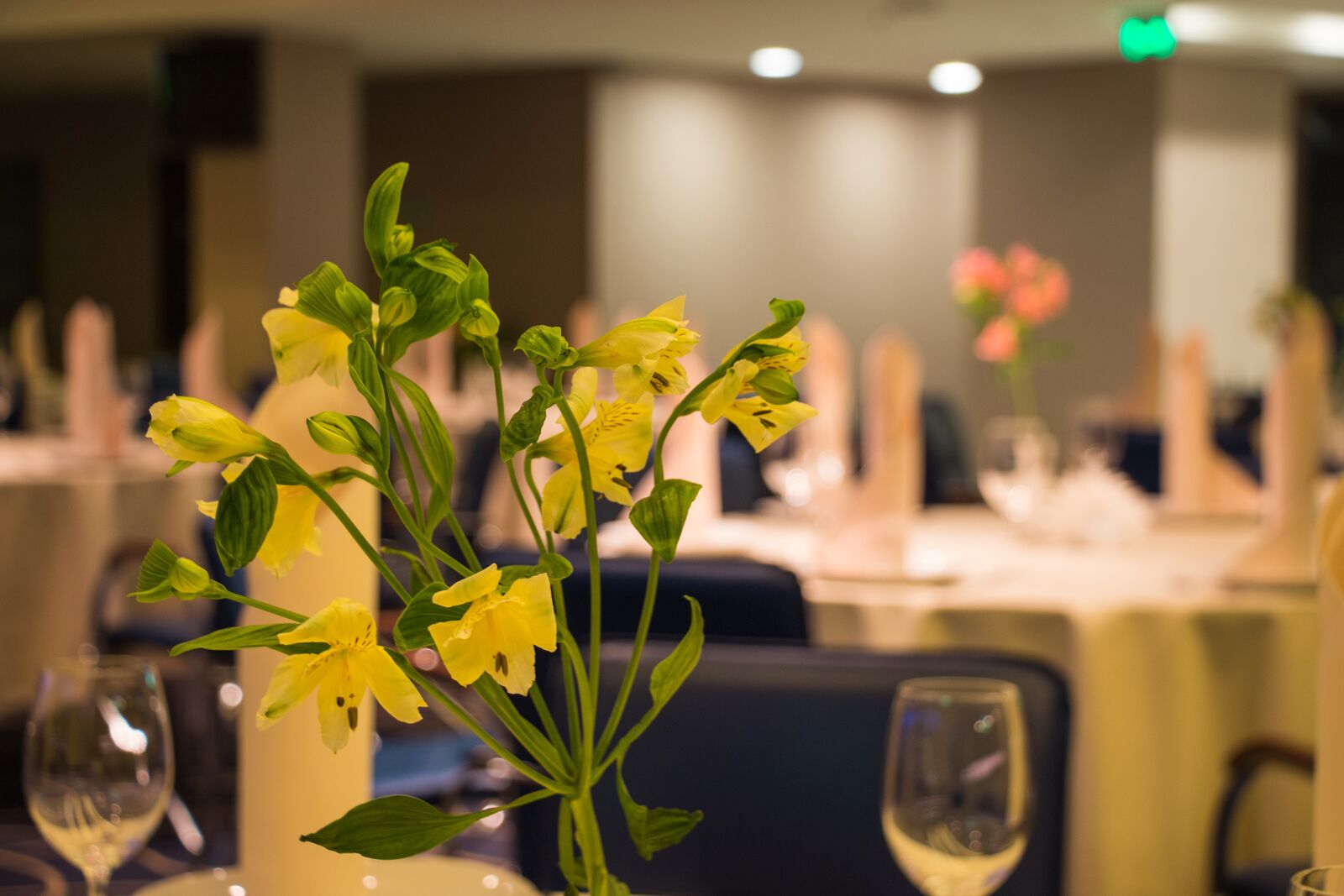 Restaurant "Metalist" image 5