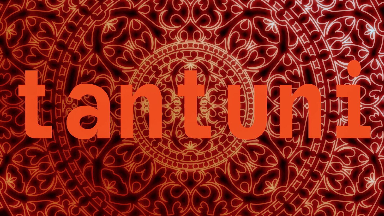 Tantuni image 3