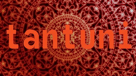 Tantuni image 3