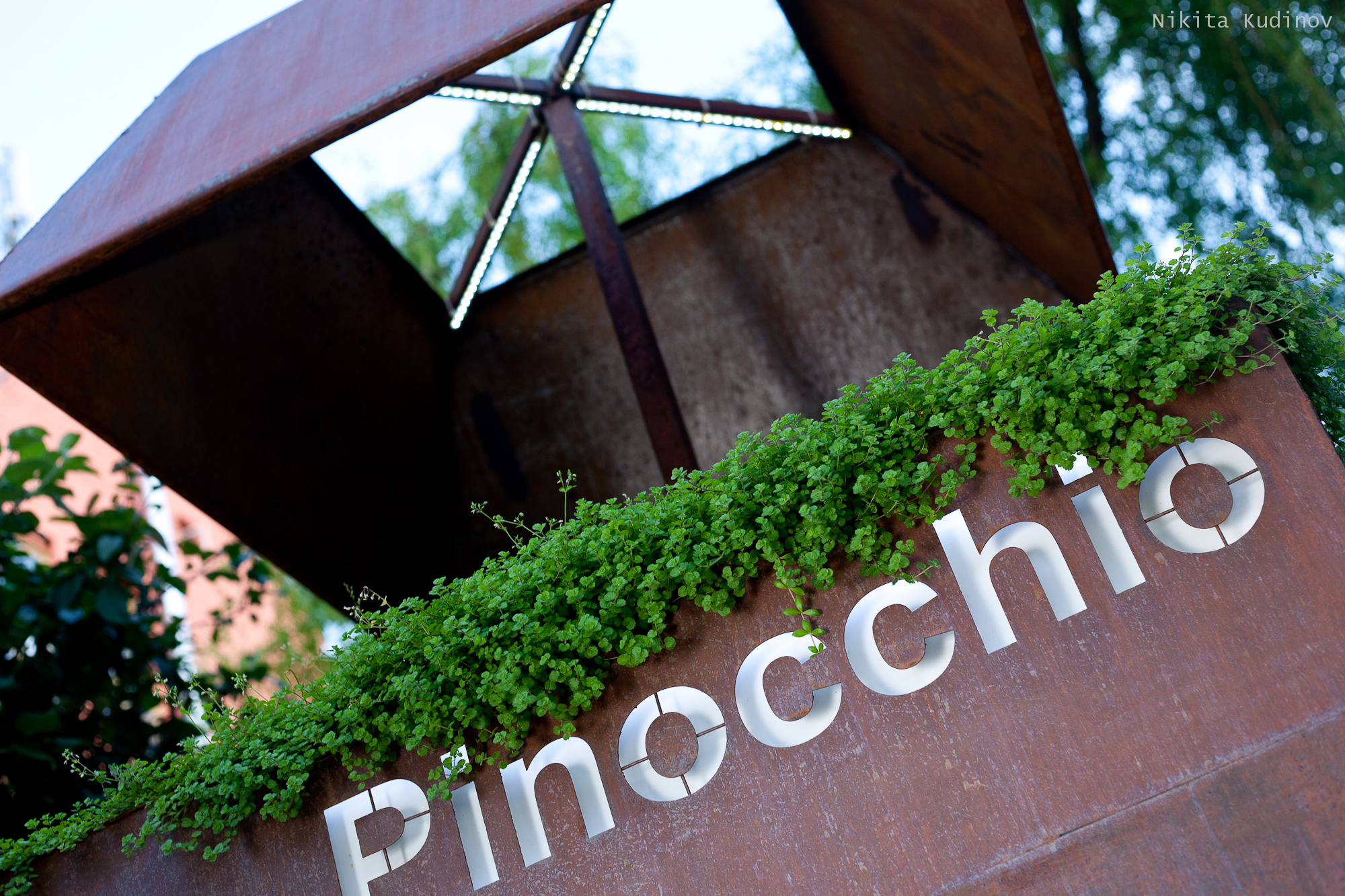 Pinocchio Osteria image 3
