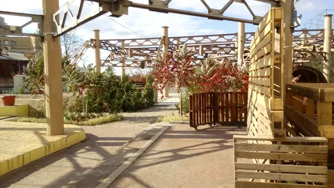 РРВК ОПЕРА image 4