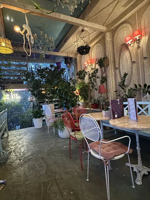 Paris image 6