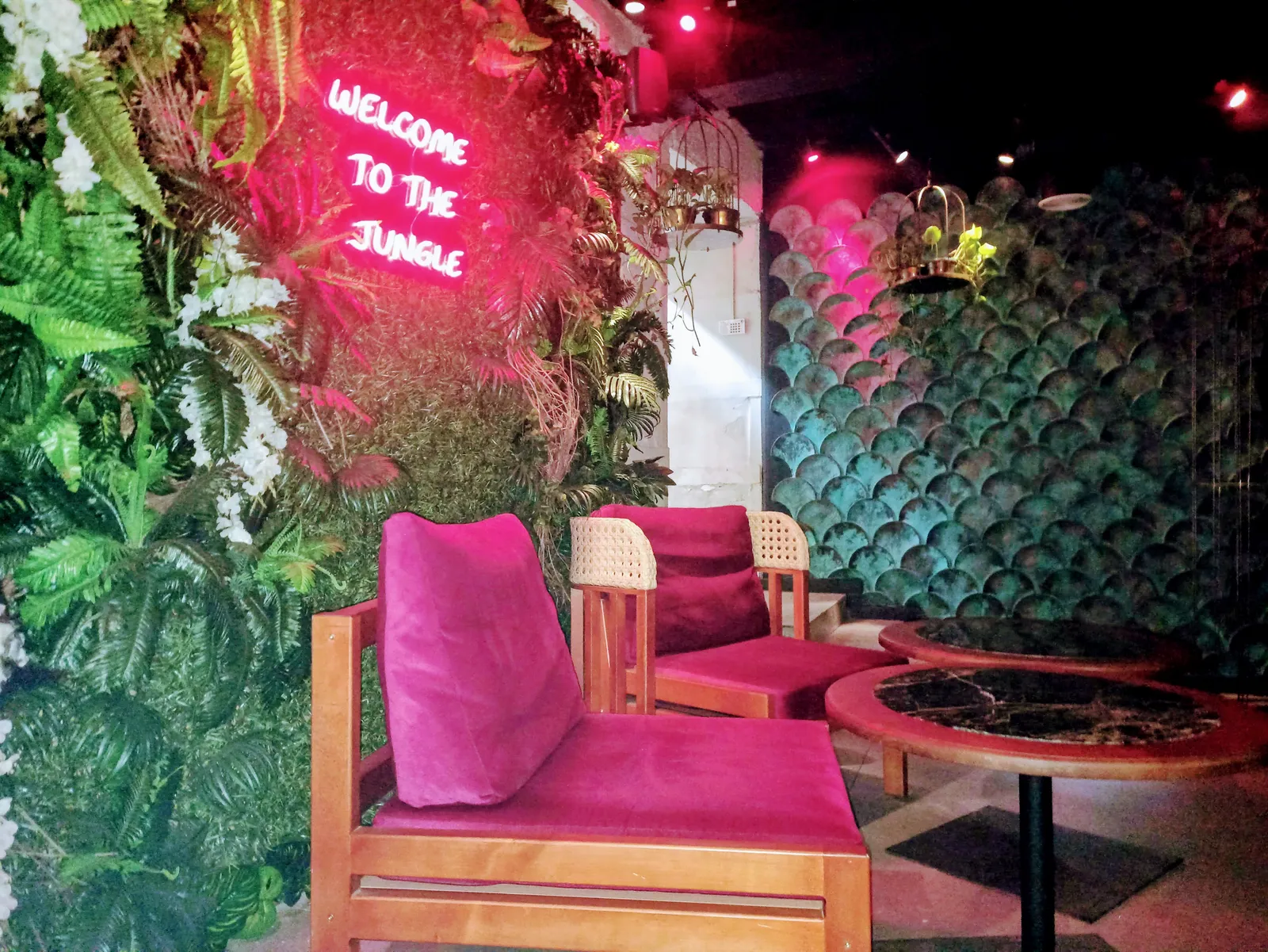 Soft Bar image 8