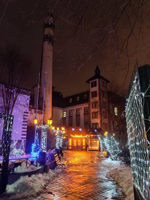 Starhorod image 8