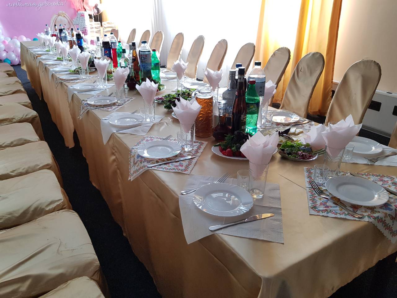 "Pivnichne Syayvo" image 1