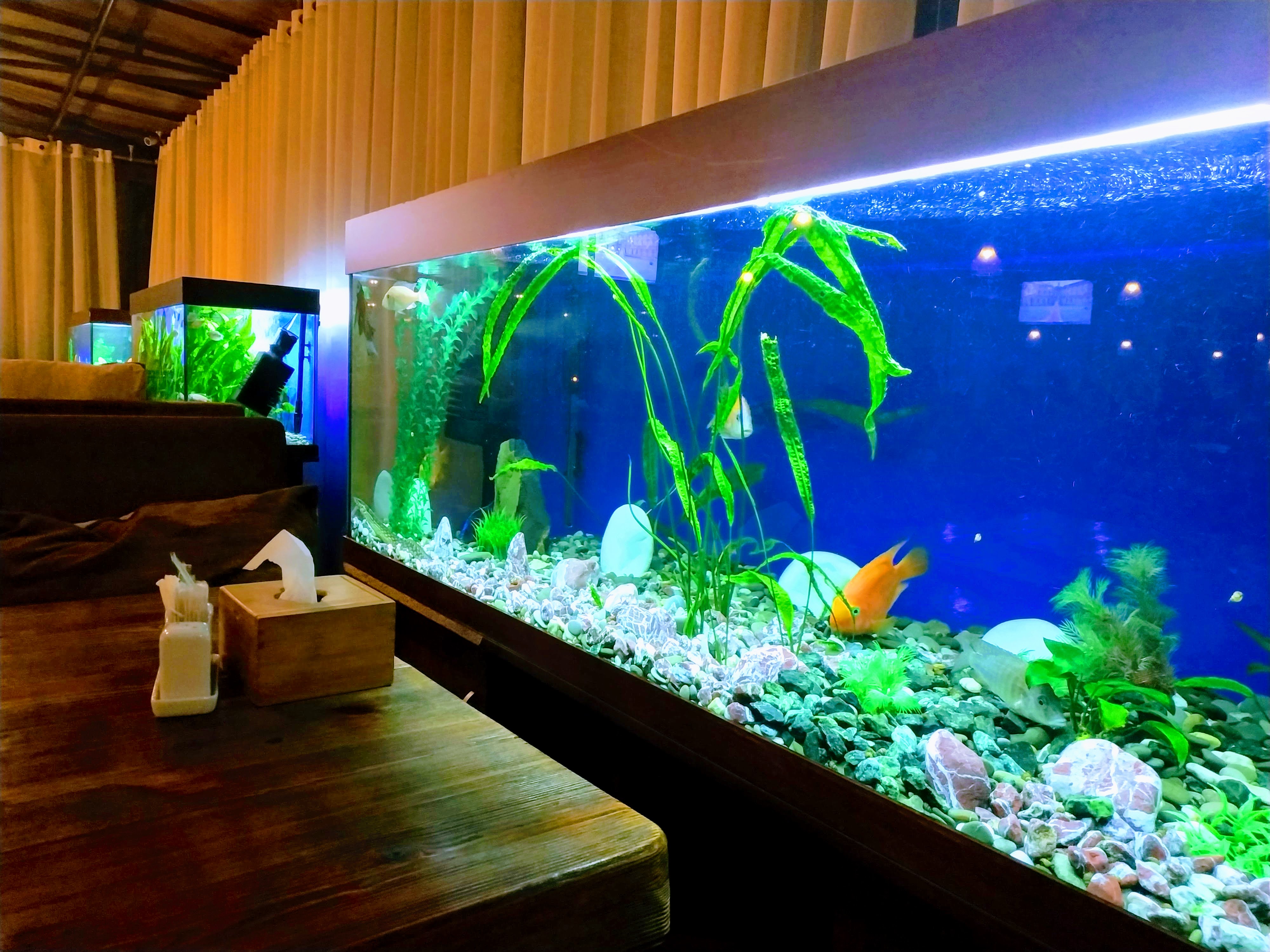 Shashlychnyy Ray Masys image 3