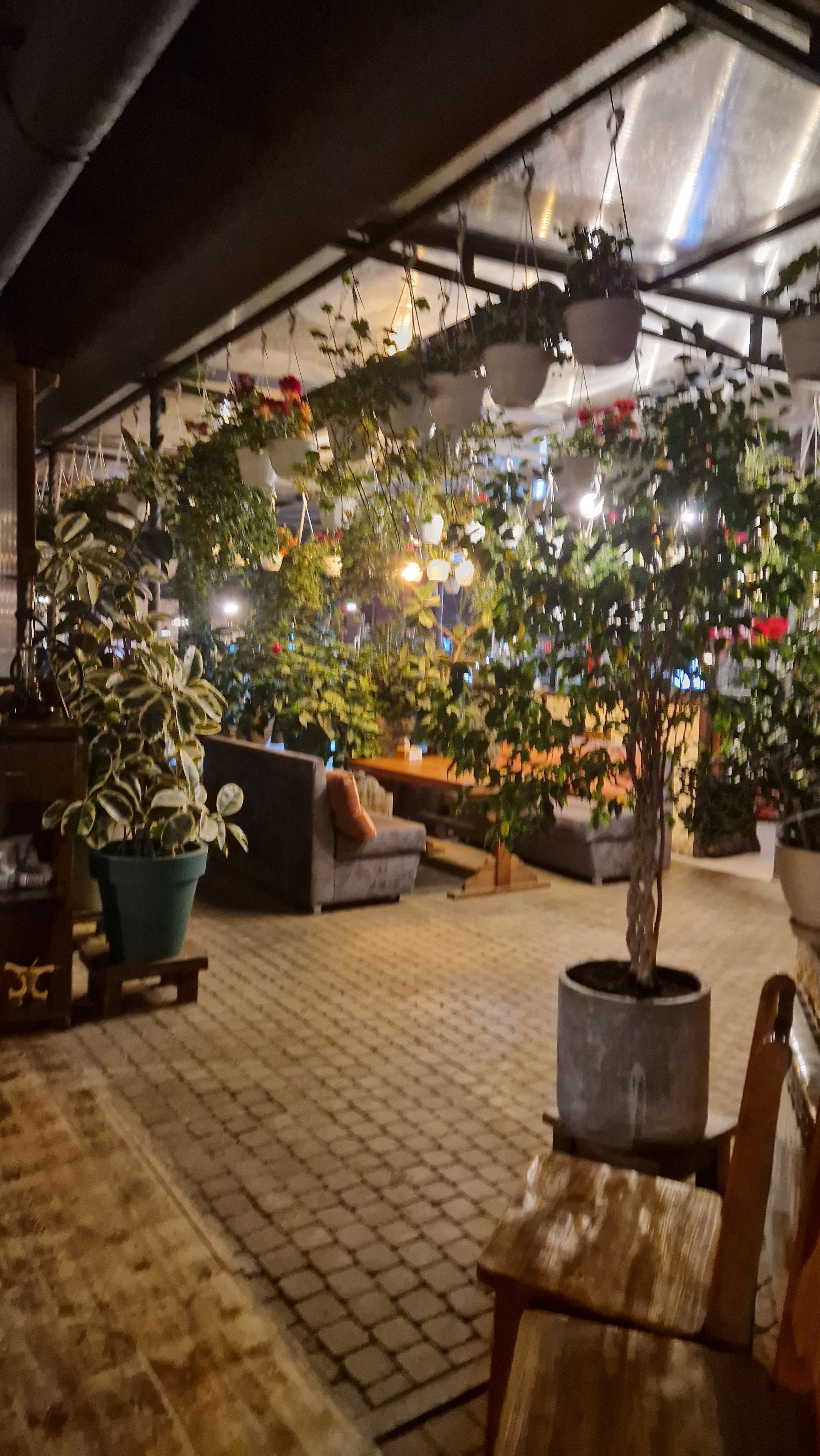 Shashlychnyy Ray Masys image 4