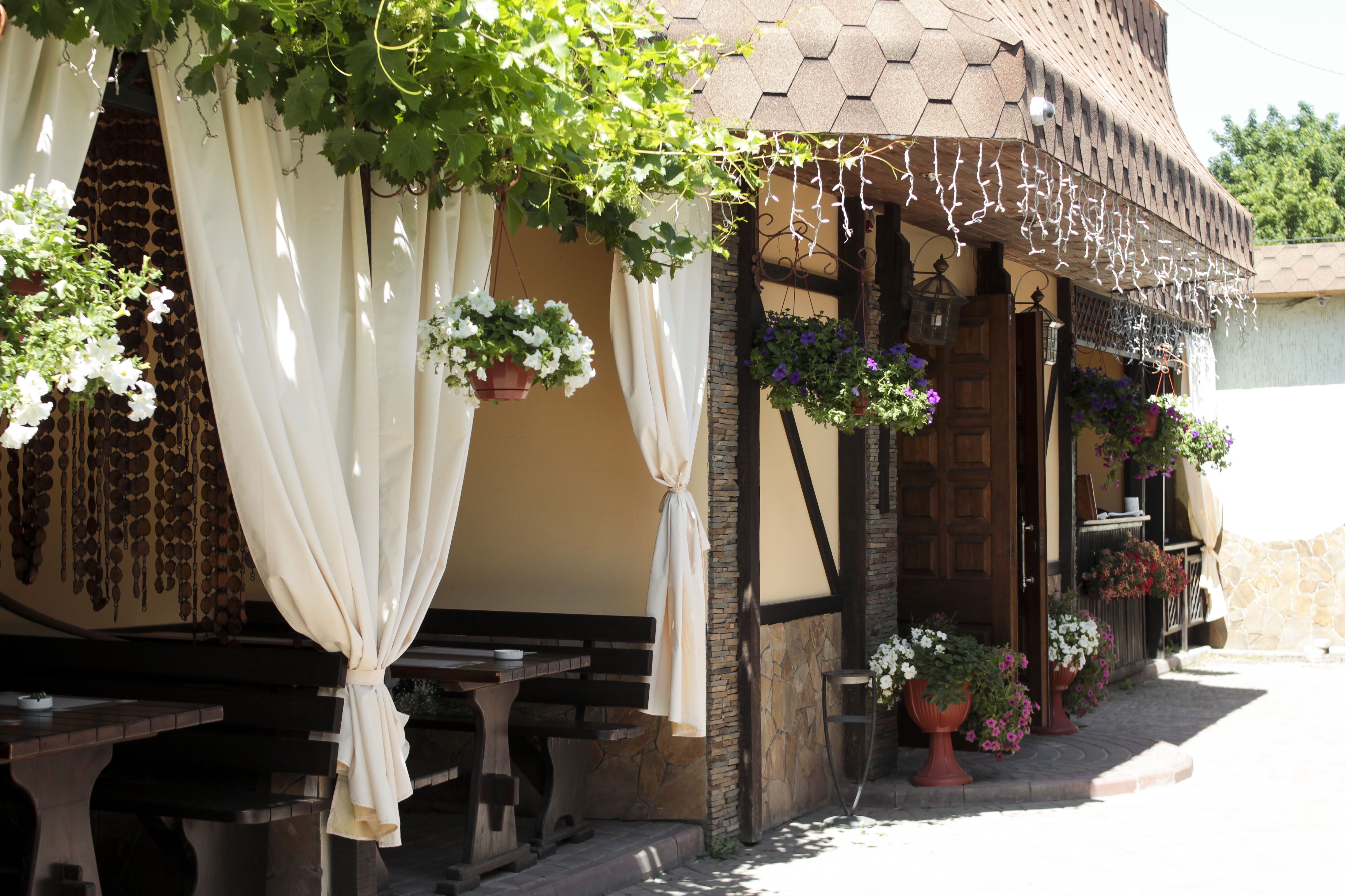 Alʹpiysʹkyy Dvoryk image 5