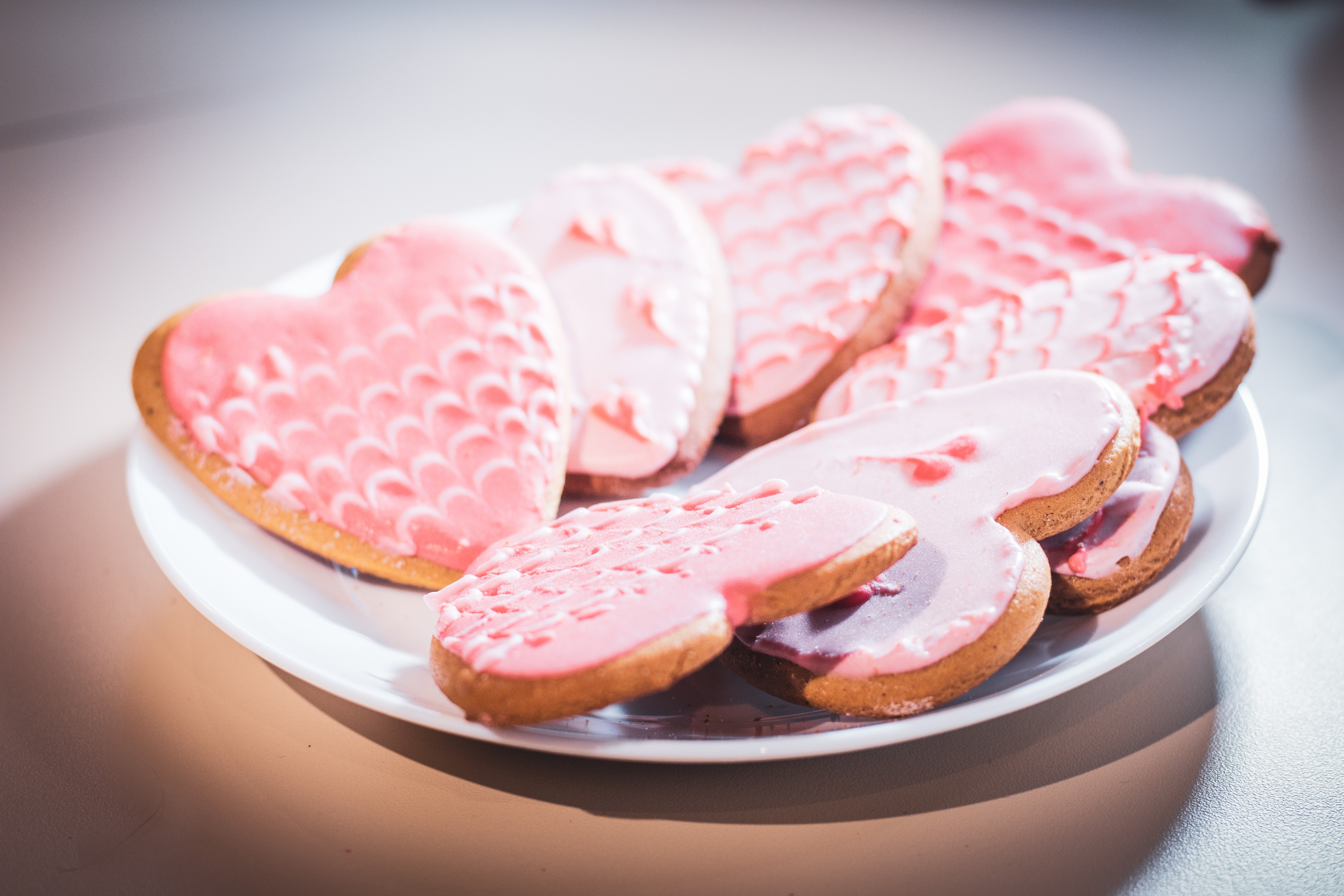 Піцерія O!pizza на ботанічному саду image 5