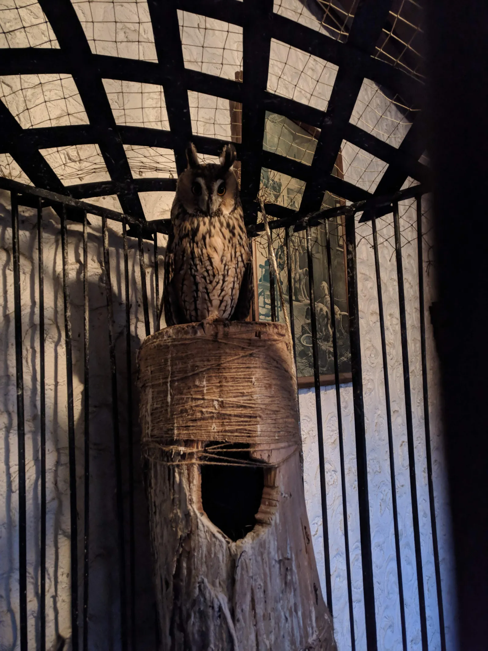 Hunter Yard image 3