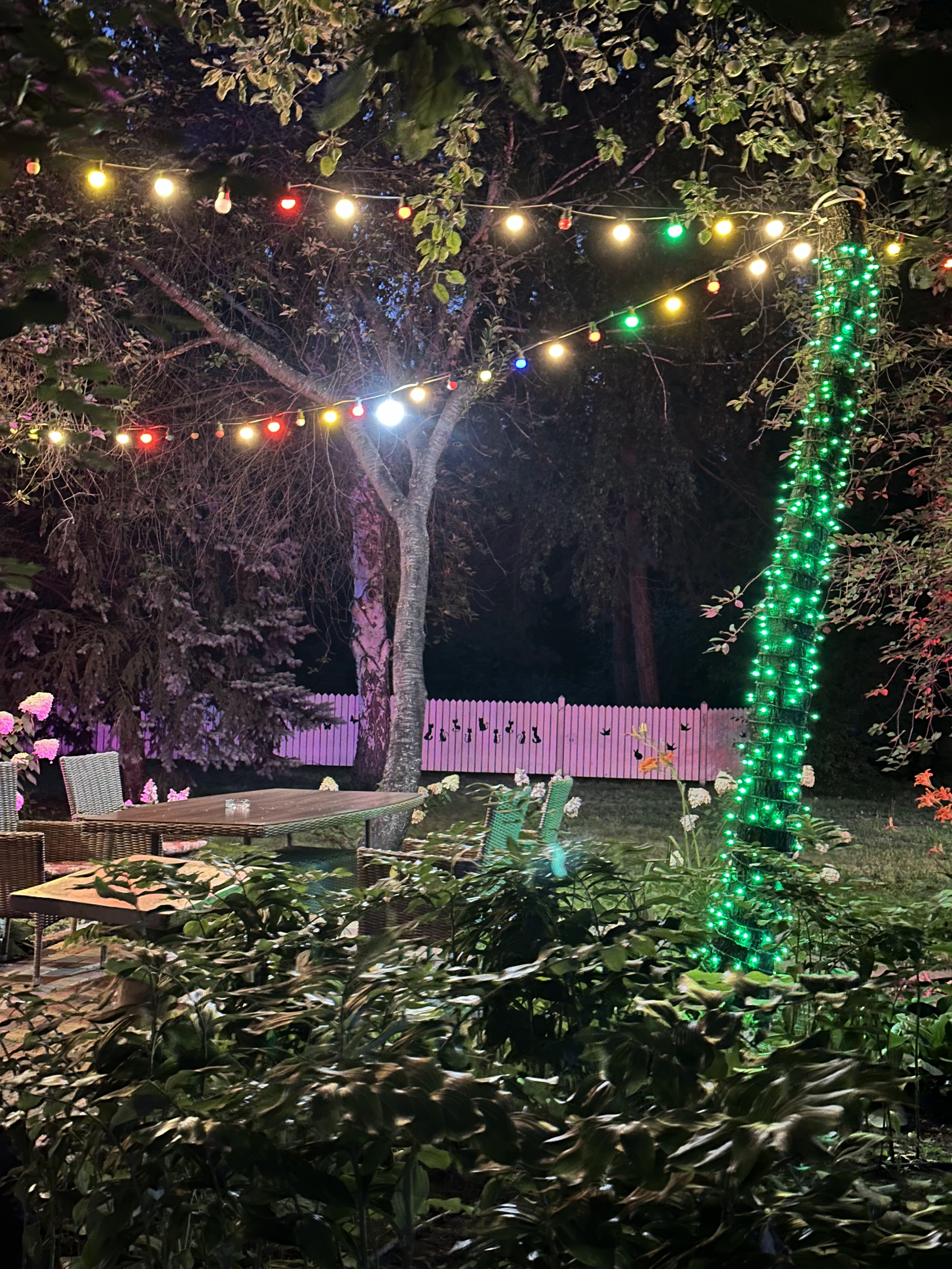 Мельница image 6