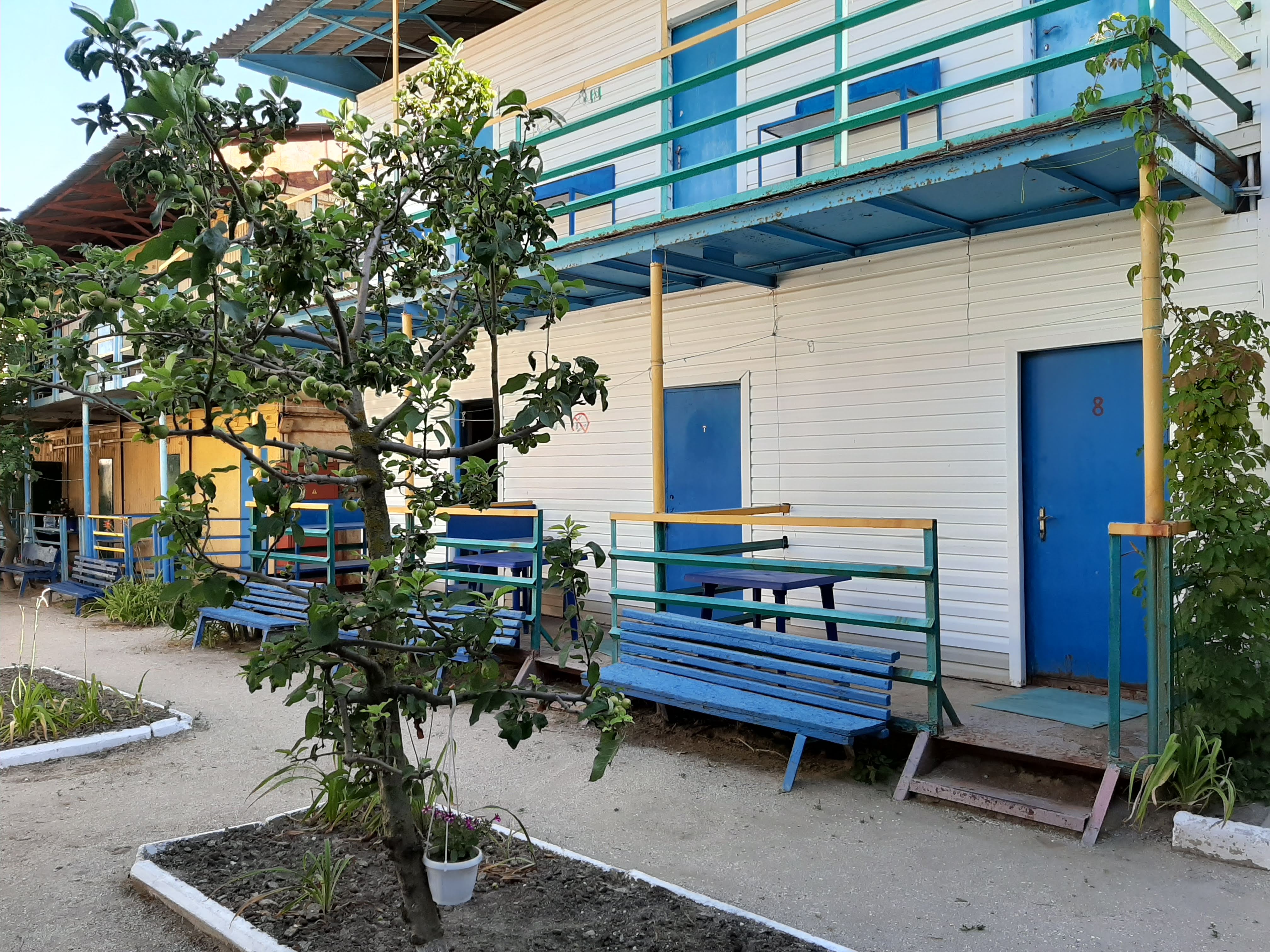 Pizza Алладин image 3